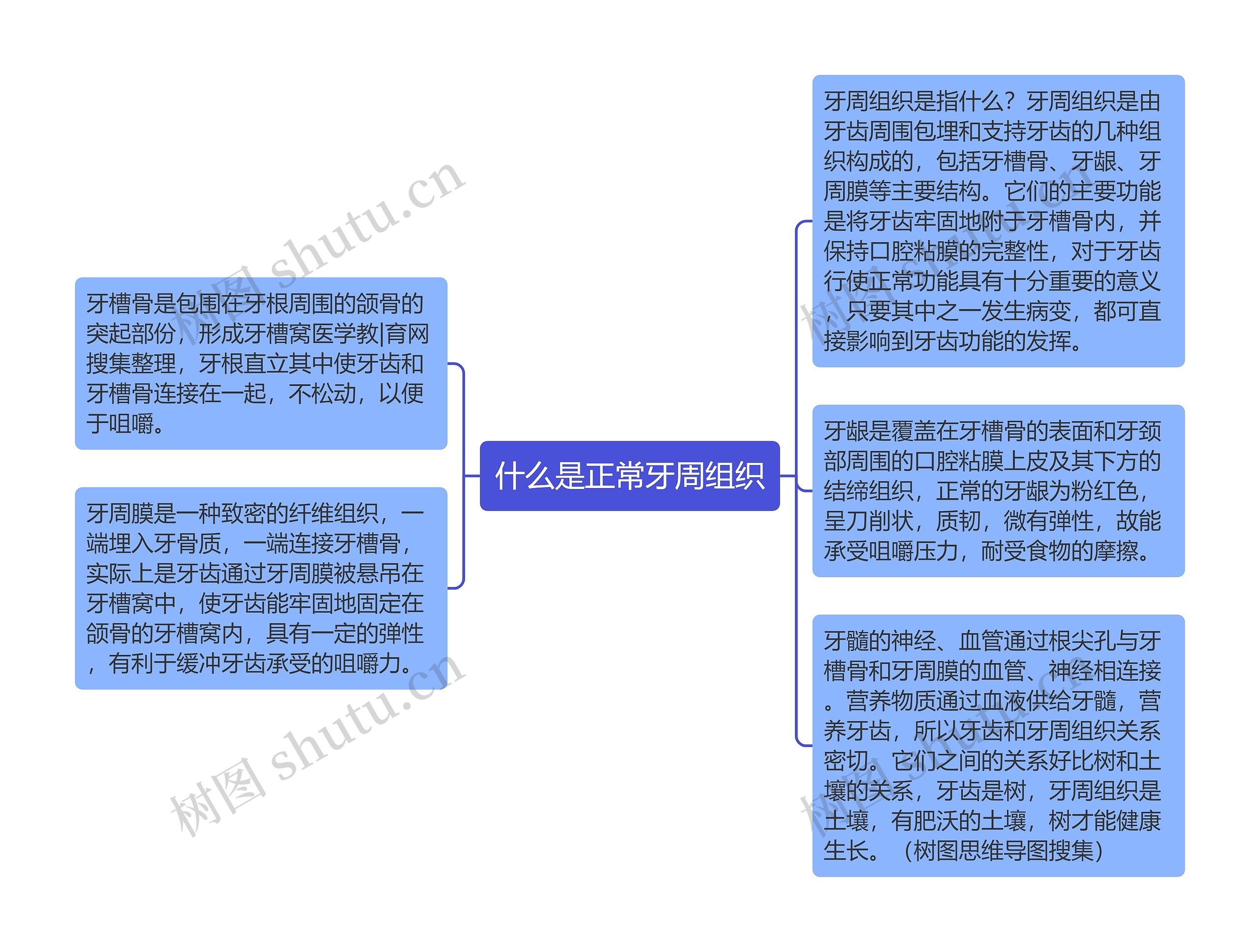 什么是正常牙周组织