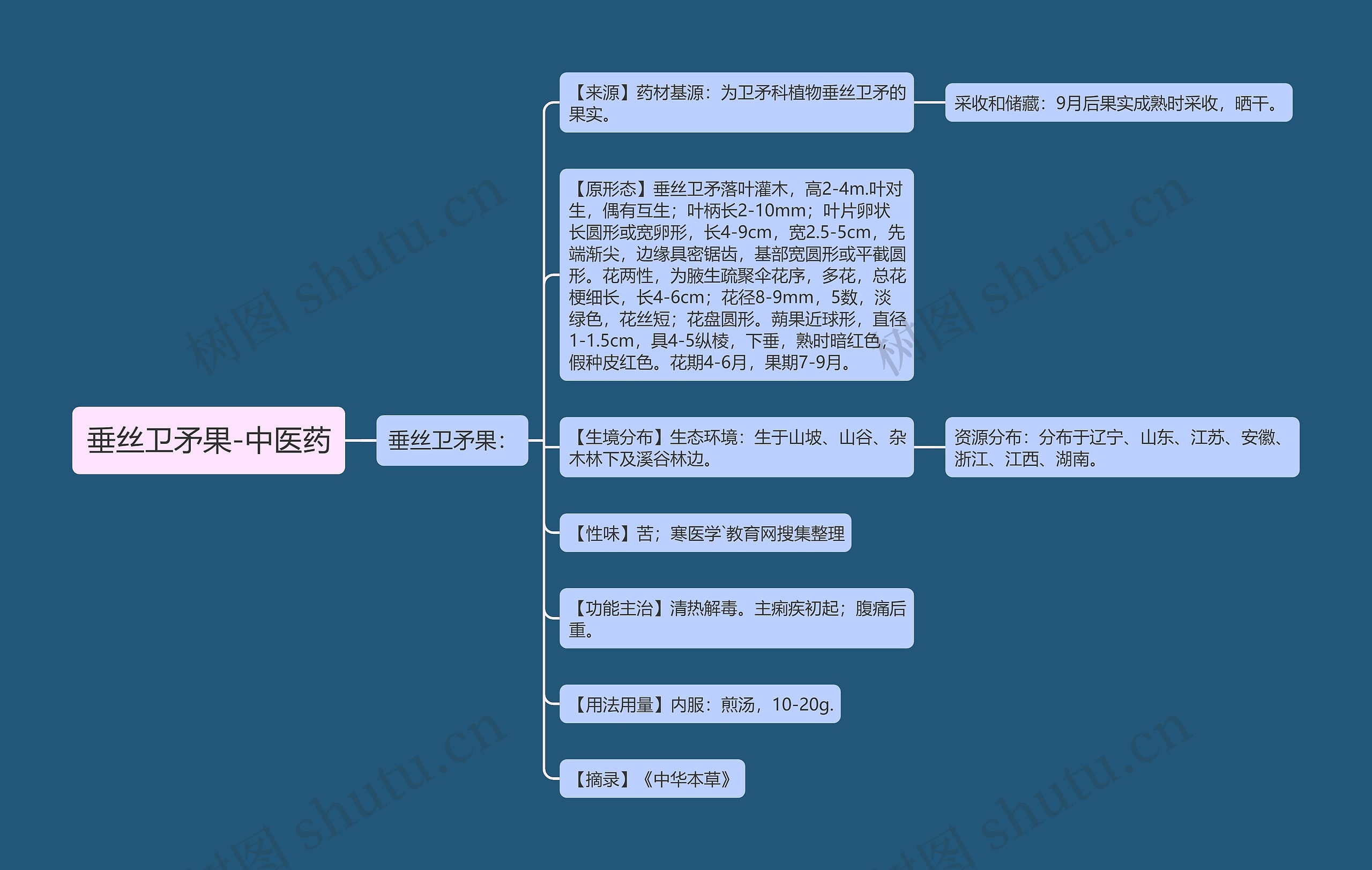 垂丝卫矛果-中医药思维导图