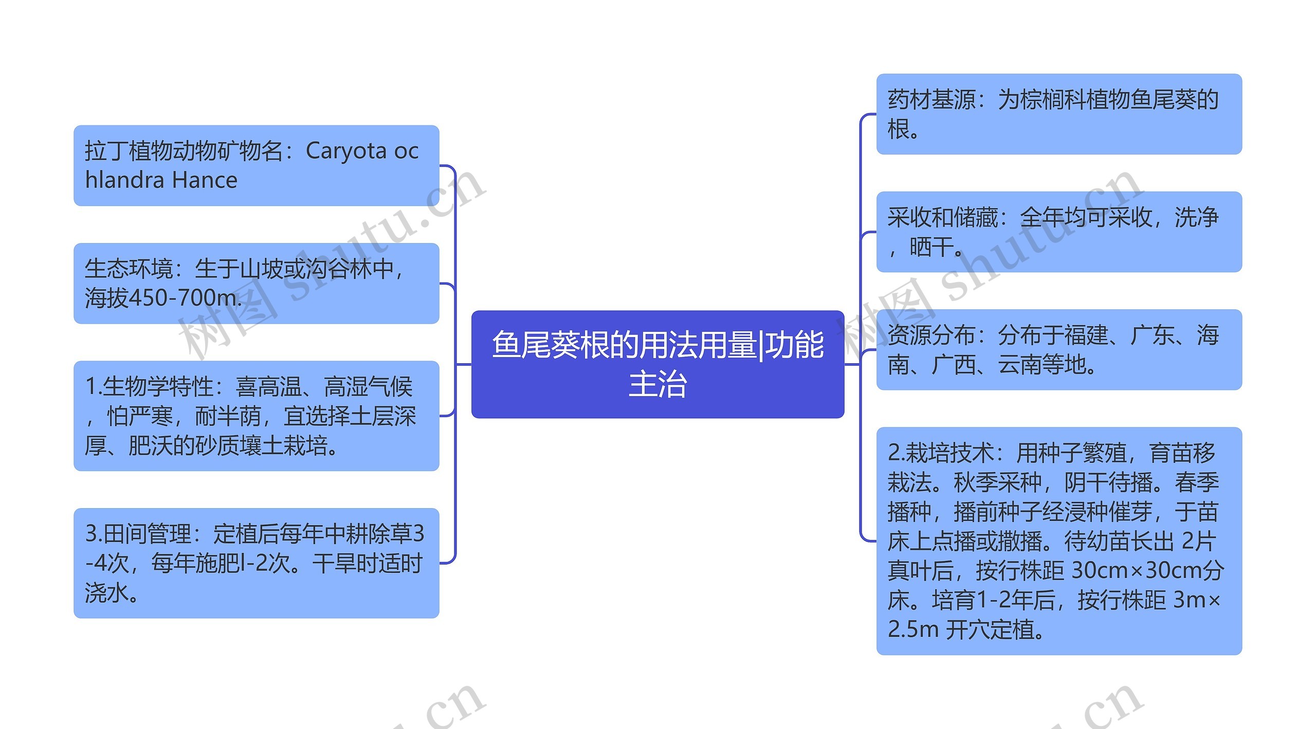 鱼尾葵根的用法用量|功能主治思维导图