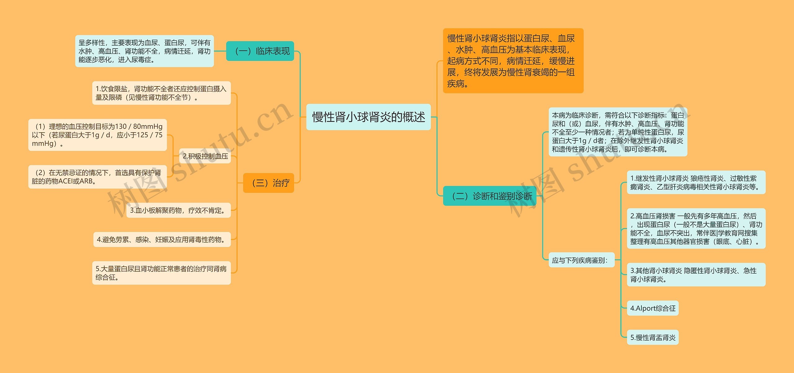 慢性肾小球肾炎的概述思维导图