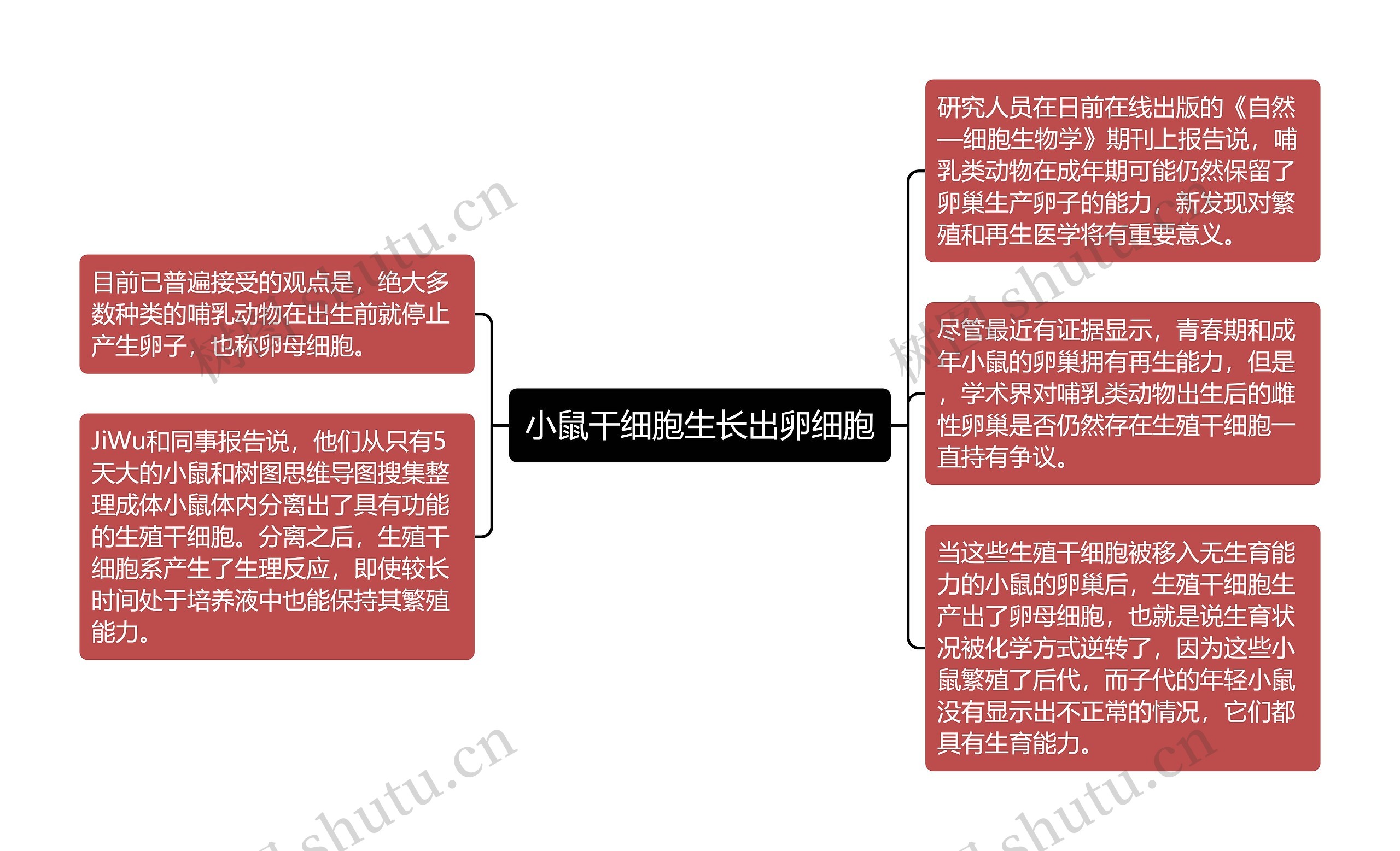 小鼠干细胞生长出卵细胞