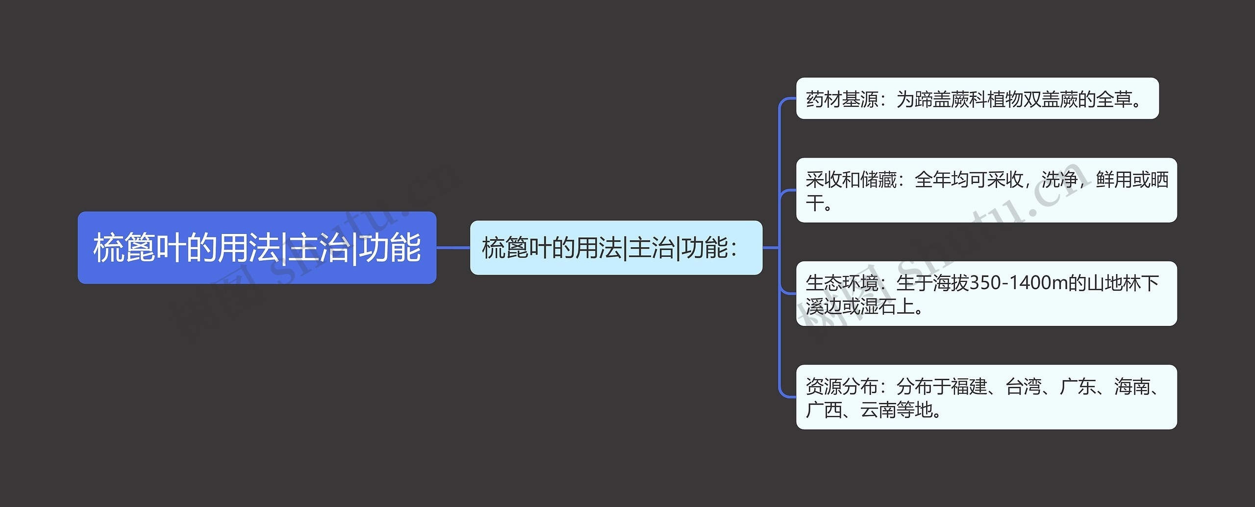 梳篦叶的用法|主治|功能思维导图