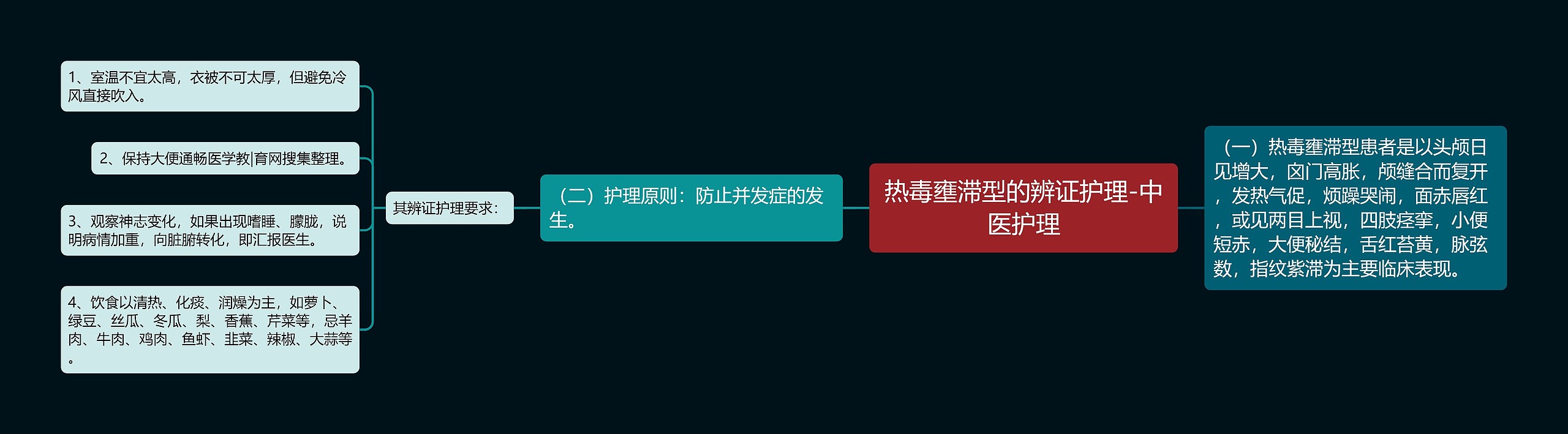 热毒壅滞型的辨证护理-中医护理思维导图