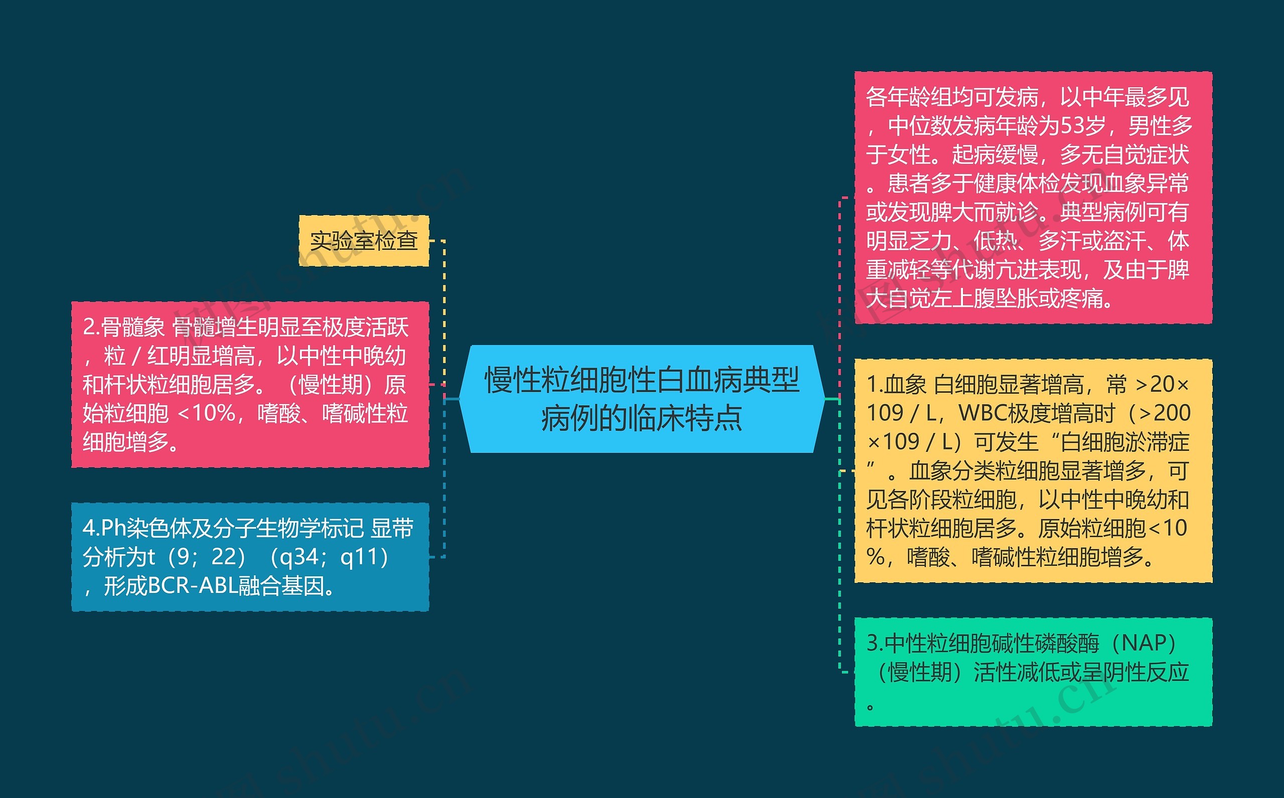 慢性粒细胞性白血病典型病例的临床特点思维导图