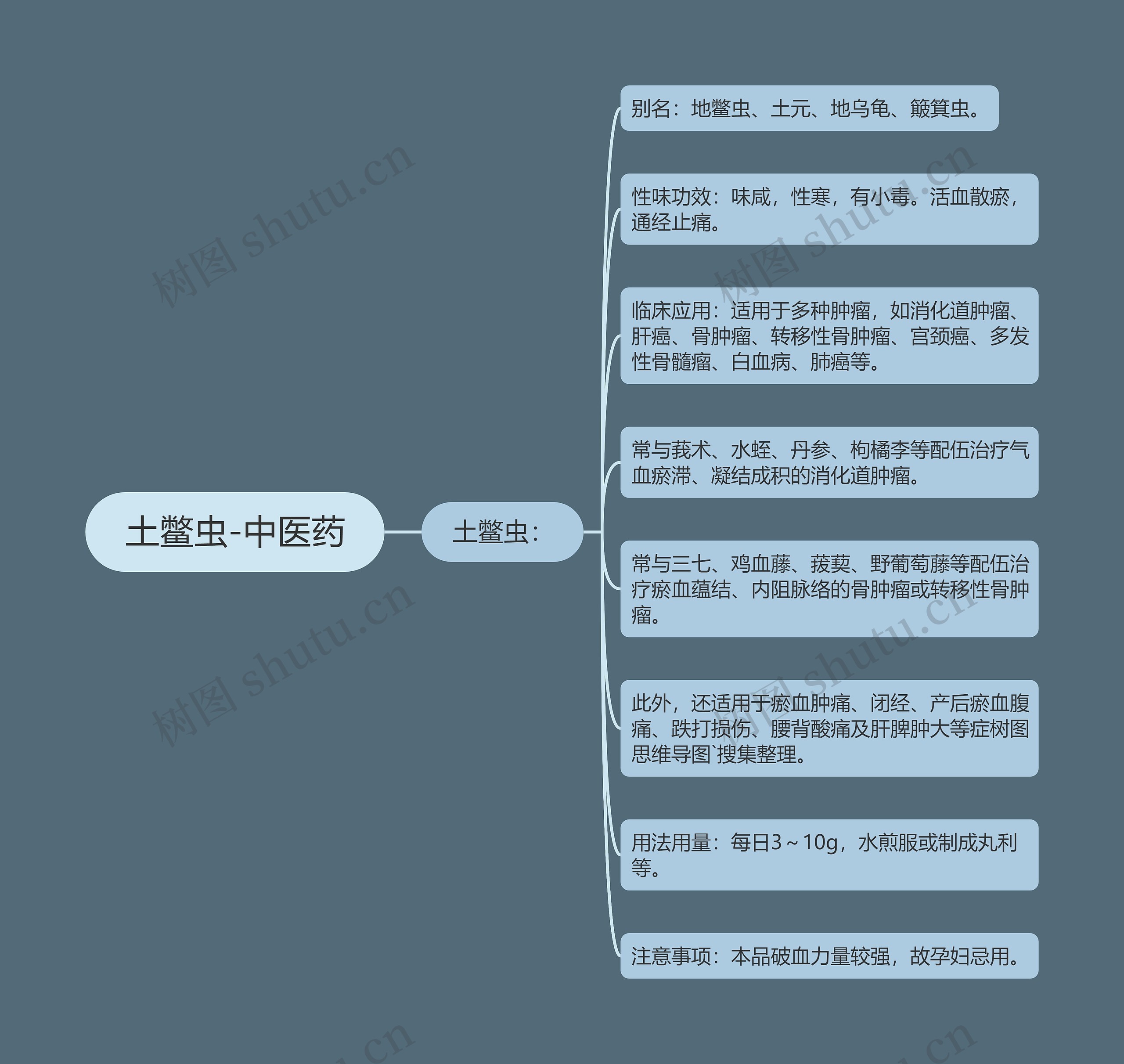 土鳖虫-中医药 土鳖虫-中医药