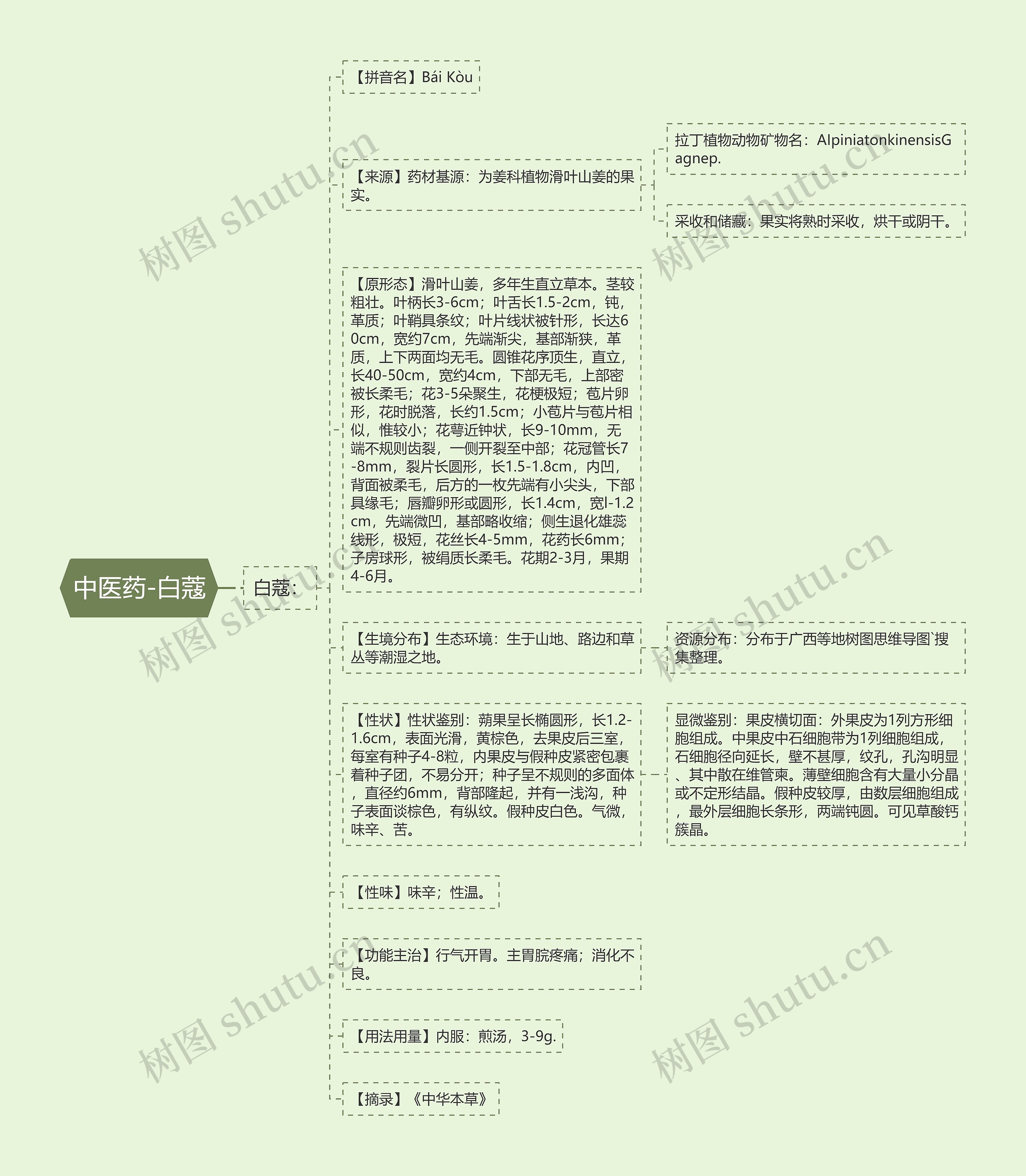 中医药-白蔻思维导图