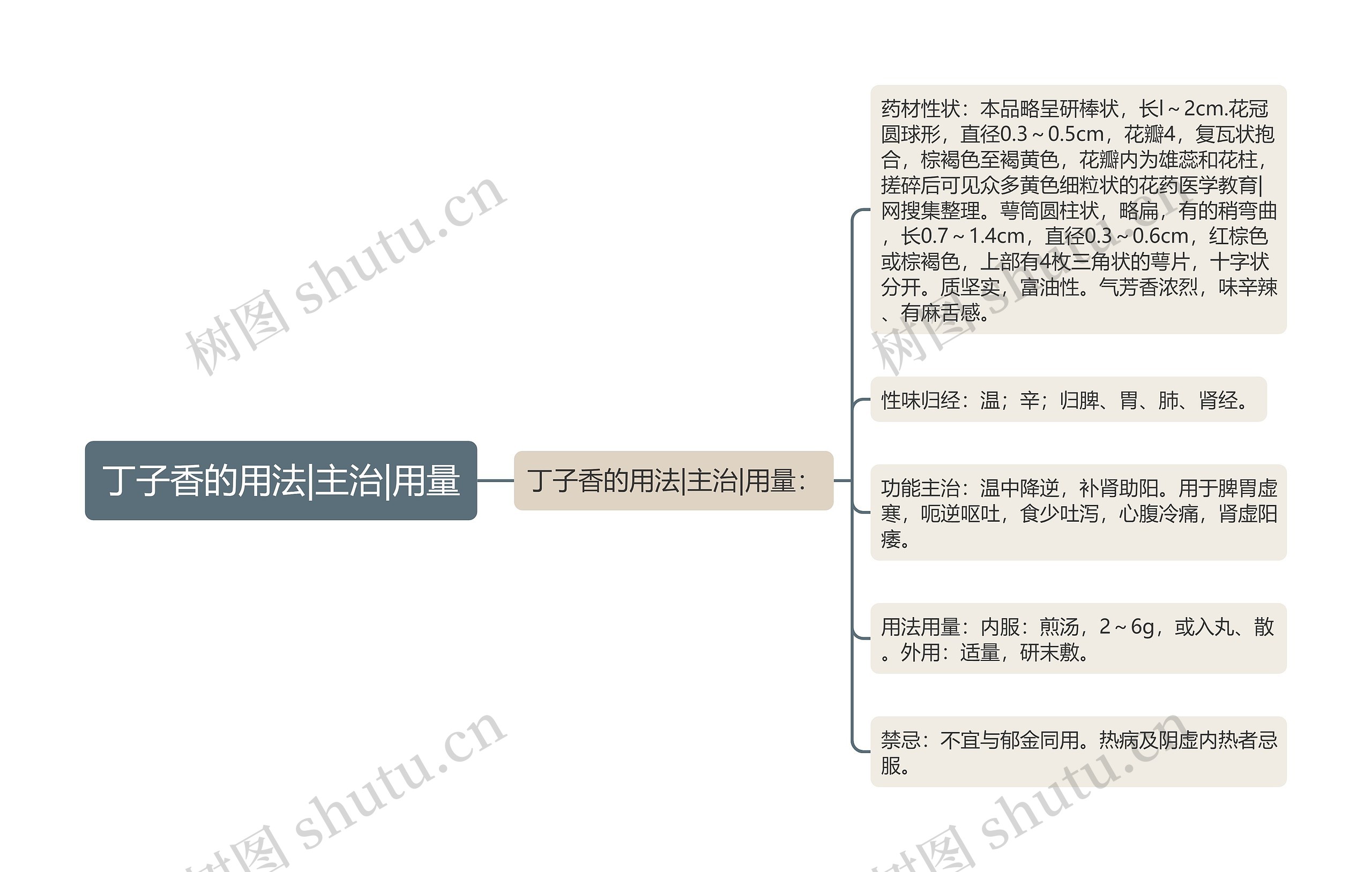 丁子香的用法|主治|用量思维导图