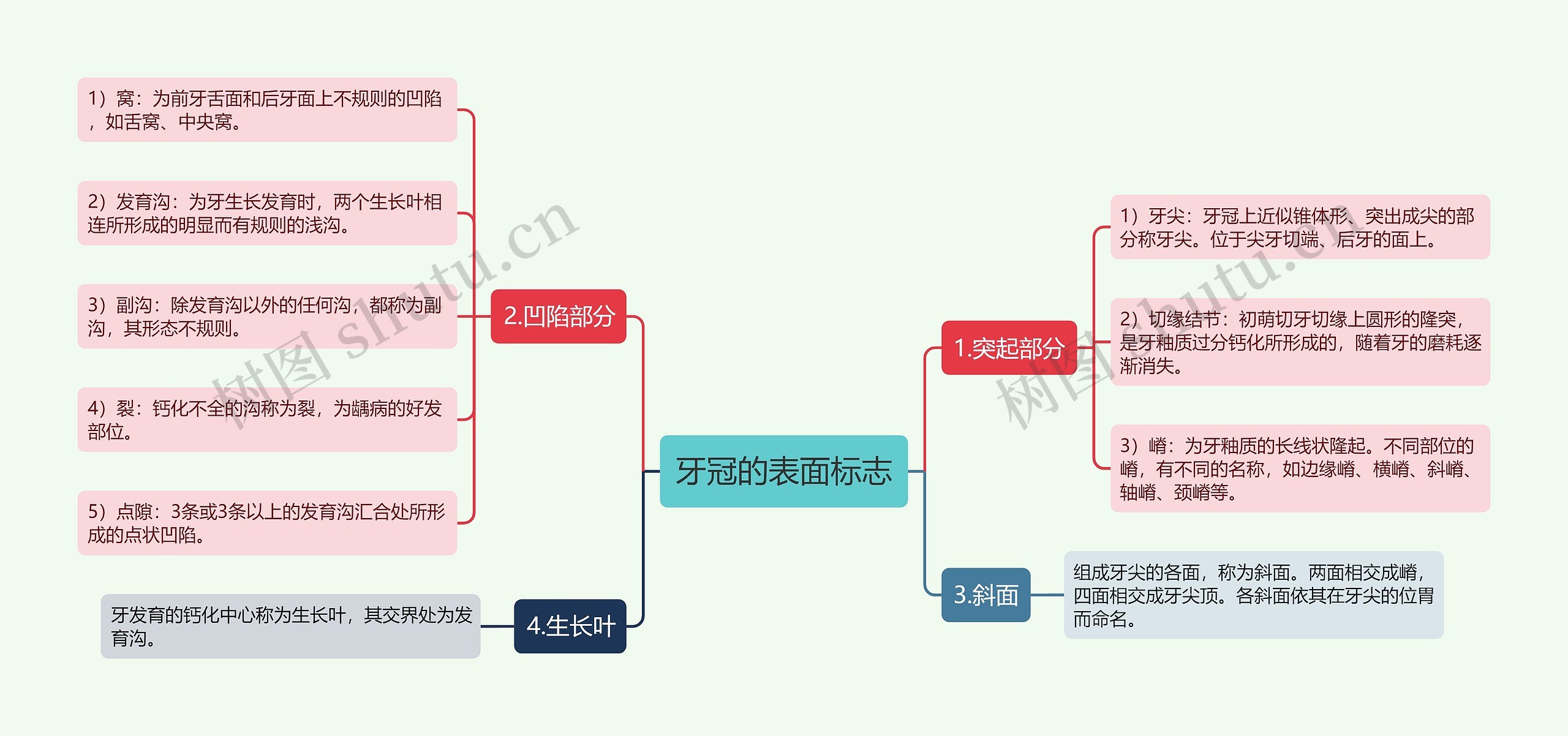 牙冠的表面标志思维导图