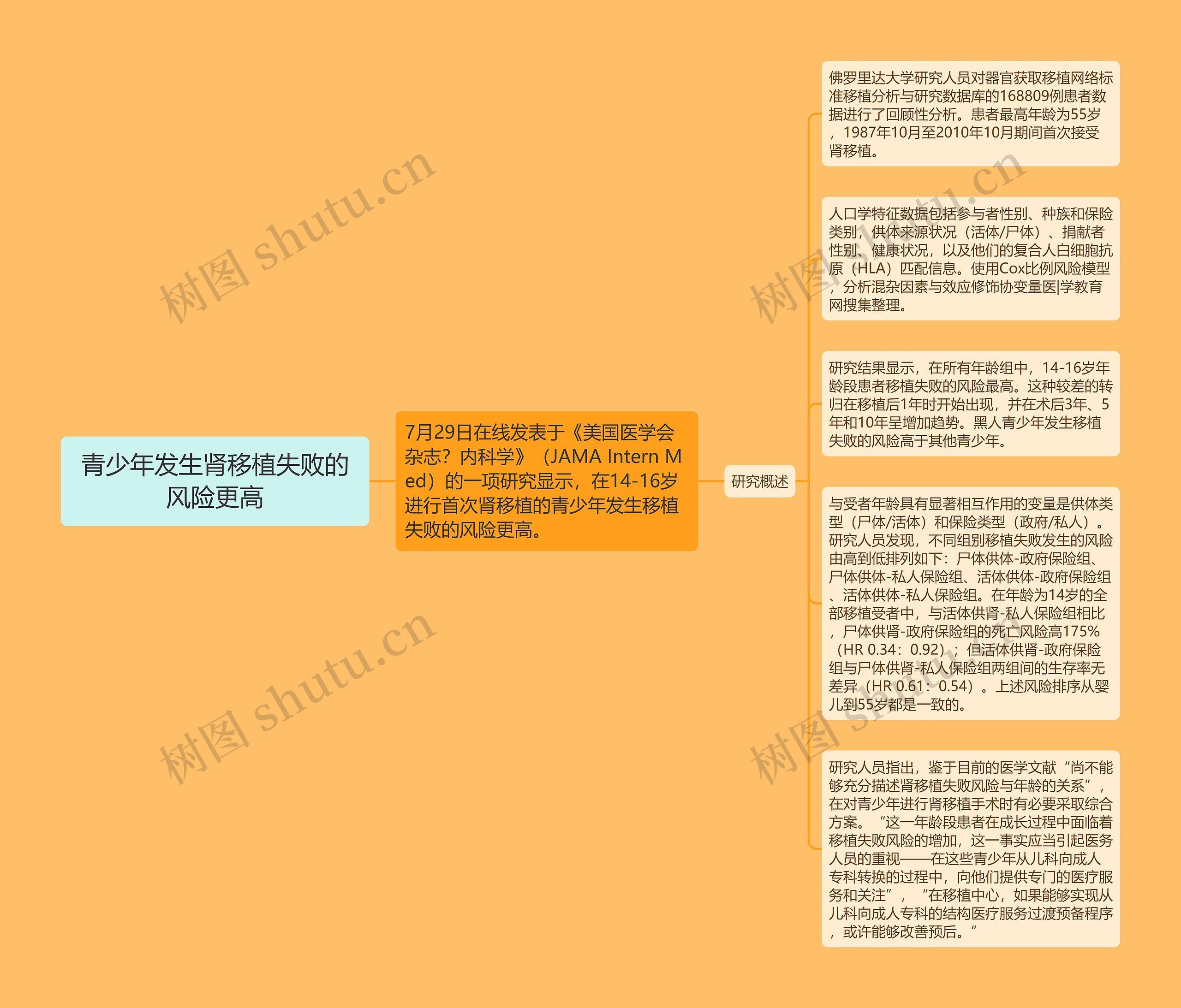 青少年发生肾移植失败的风险更高思维导图