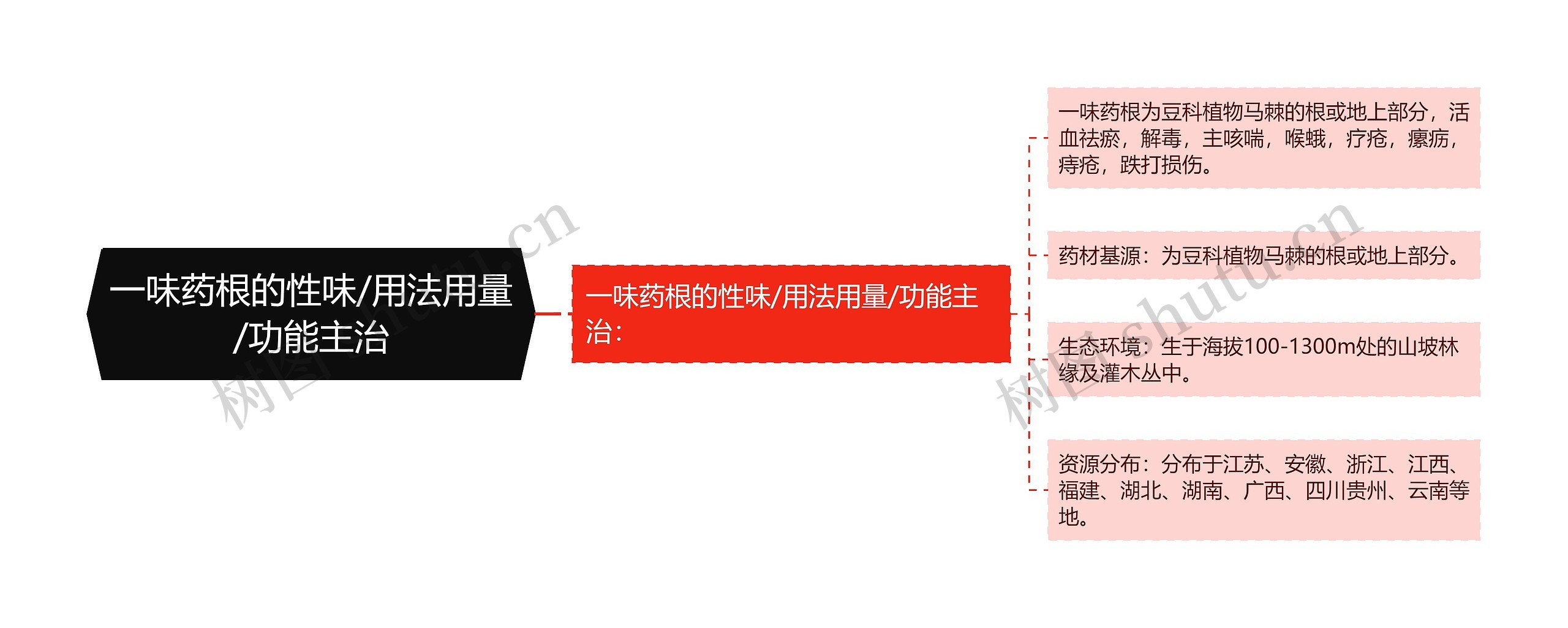 一味药根的性味/用法用量/功能主治思维导图