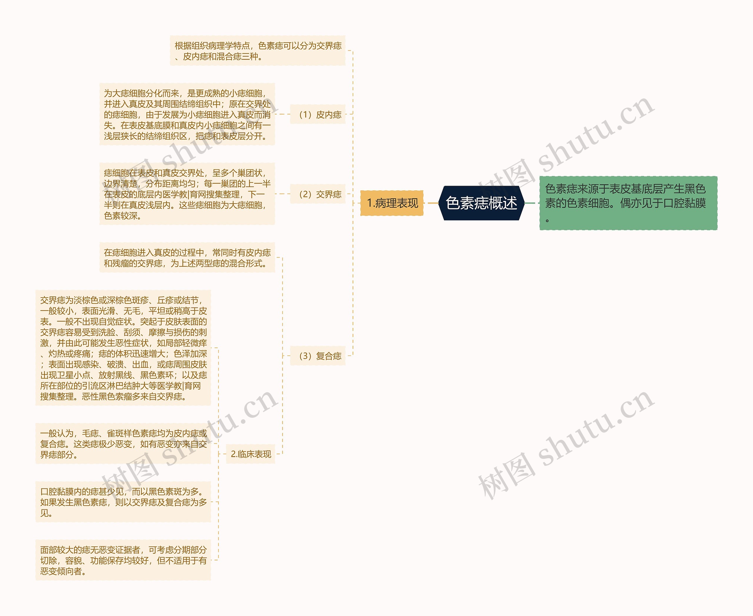 色素痣概述 色素痣概述