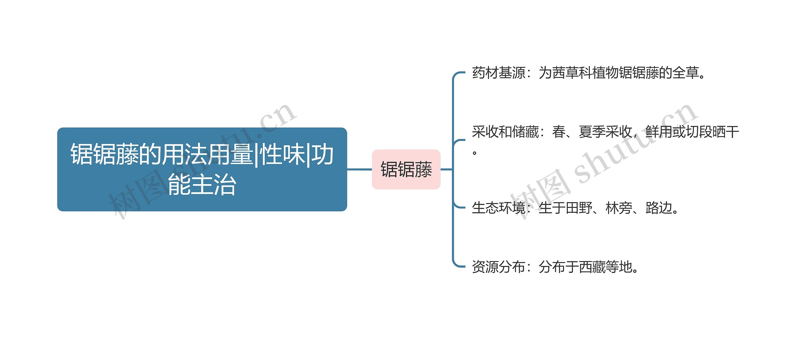 锯锯藤的用法用量|性味|功能主治思维导图