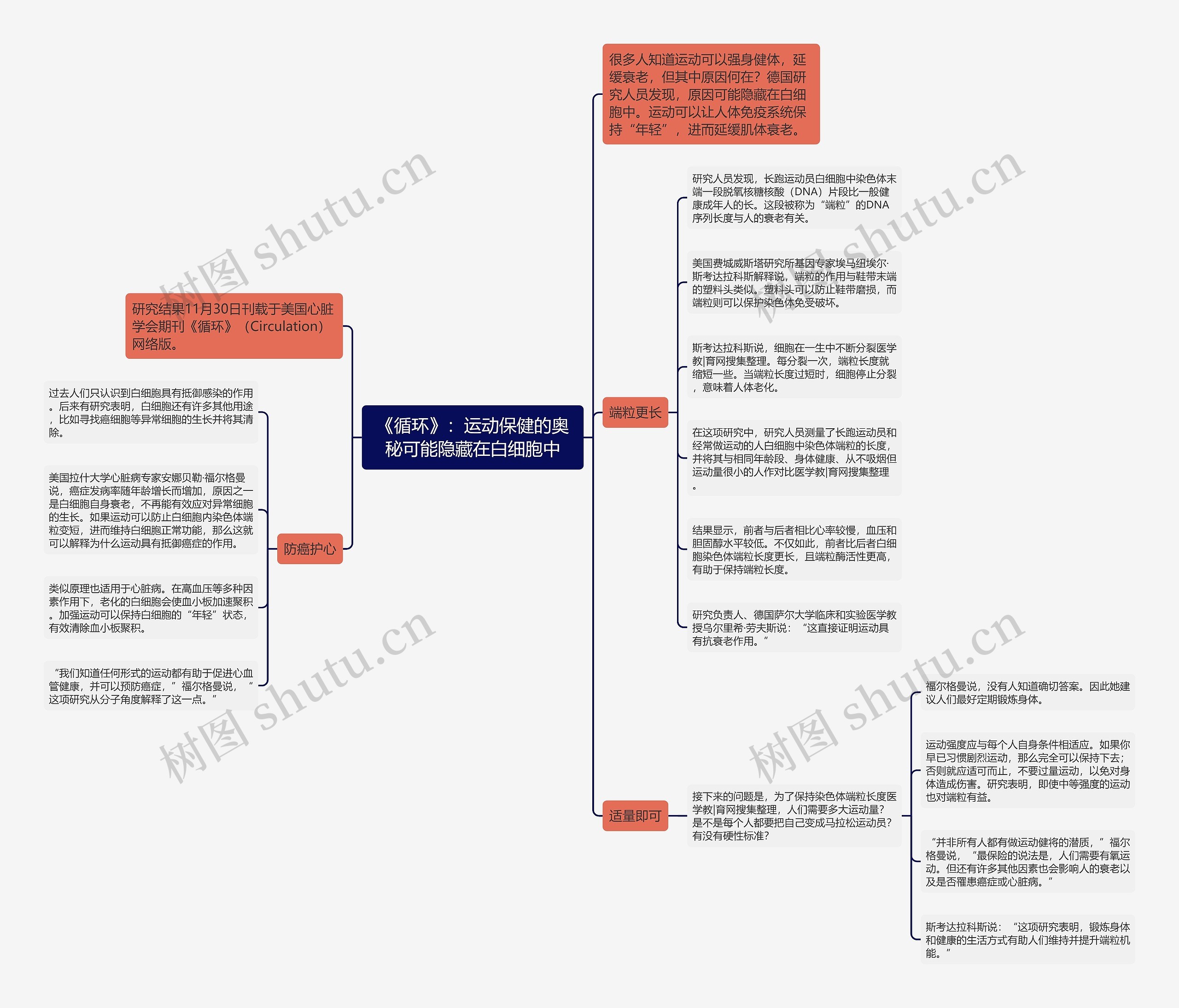 《循环》：运动保健的奥秘可能隐藏在白细胞中思维导图
