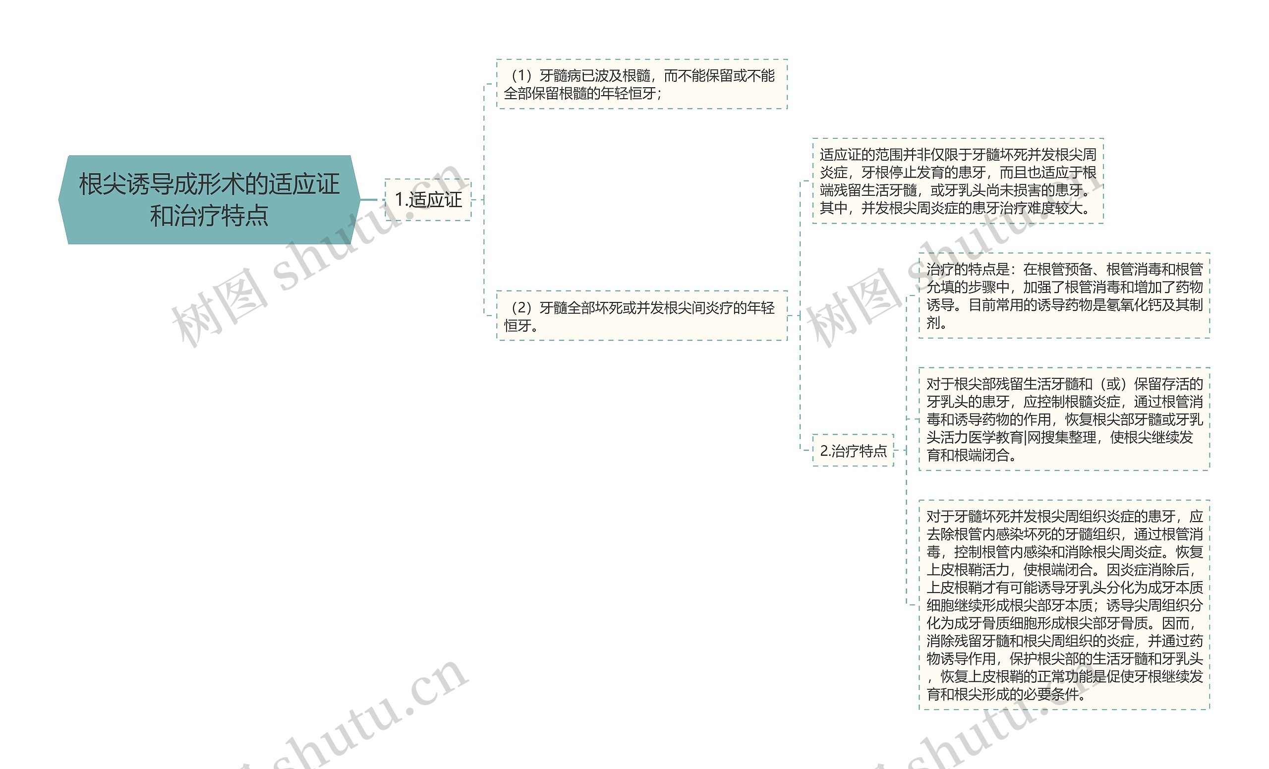 根尖诱导成形术的适应证和治疗特点