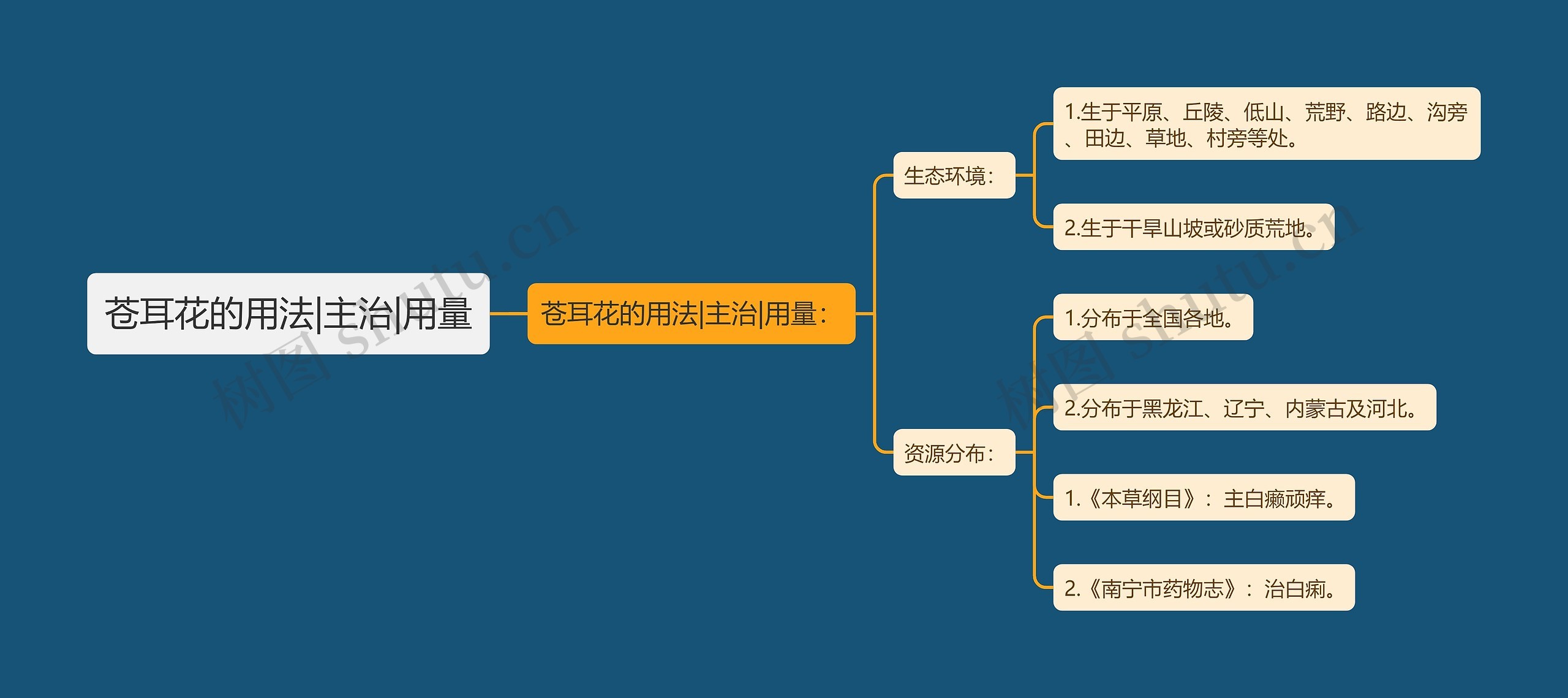 苍耳花的用法|主治|用量思维导图