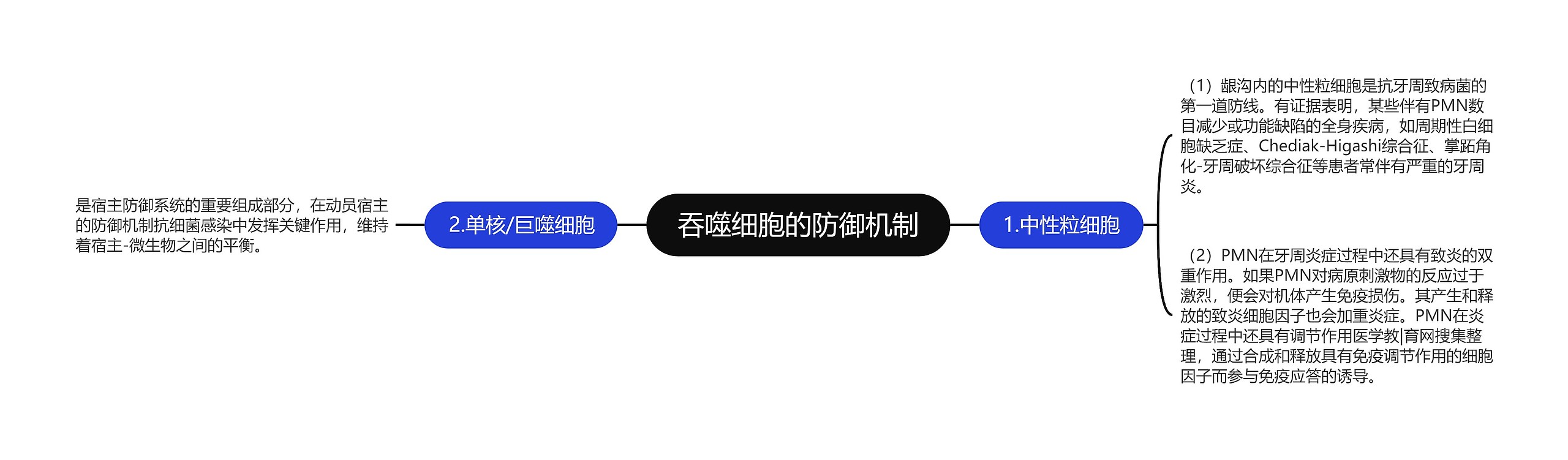 吞噬细胞的防御机制思维导图