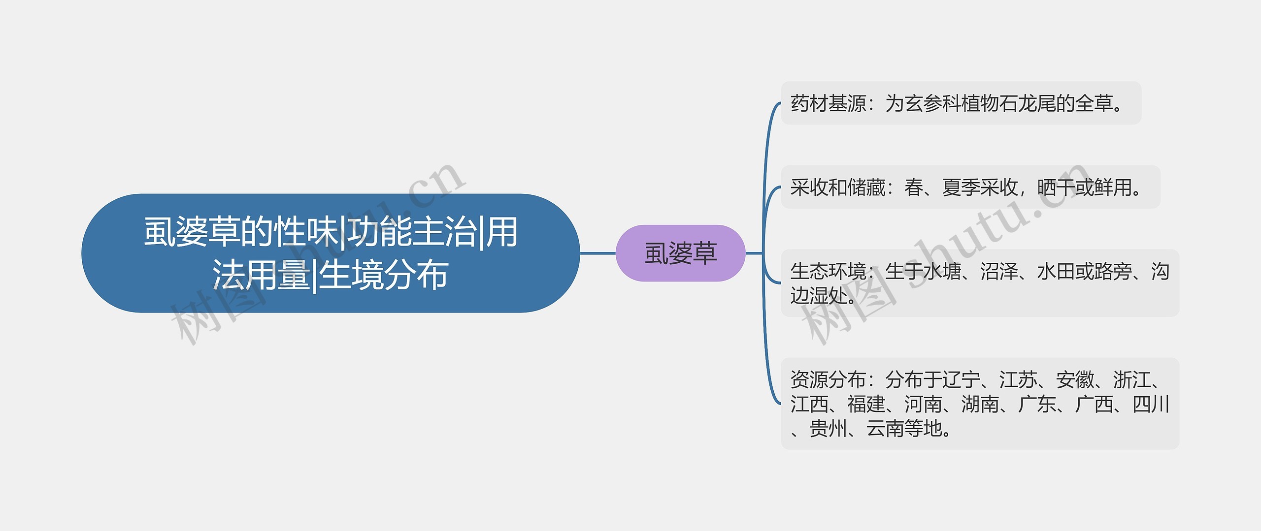 虱婆草的性味|功能主治|用法用量|生境分布