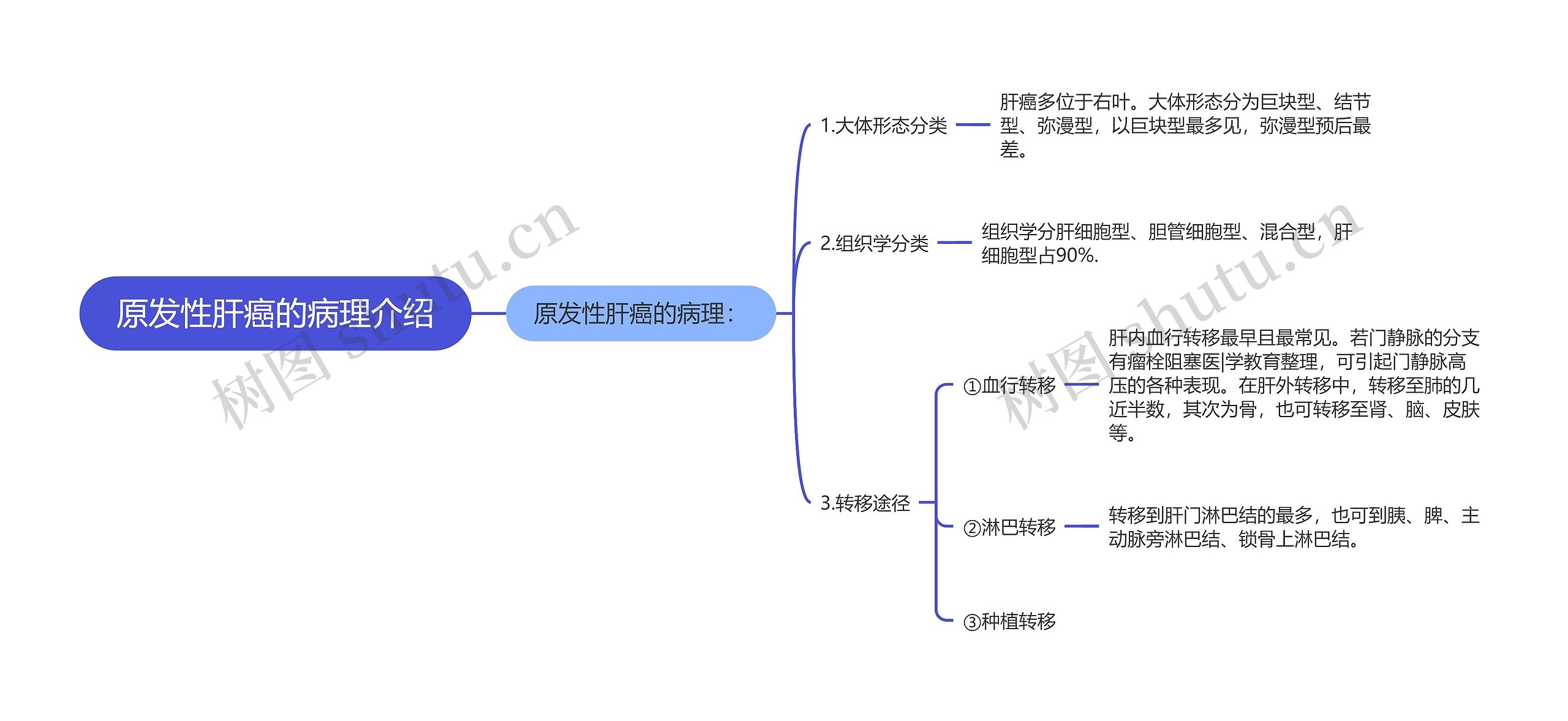 原发性肝癌的病理介绍