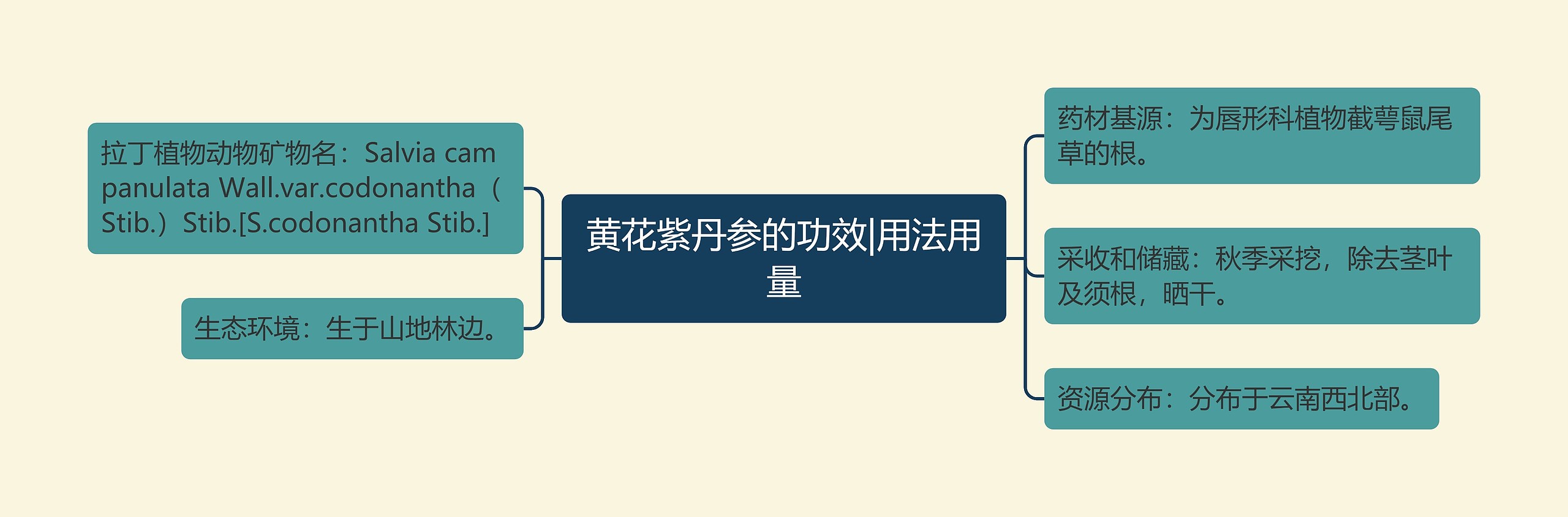 黄花紫丹参的功效|用法用量 黄花紫丹参的功效|用法用量