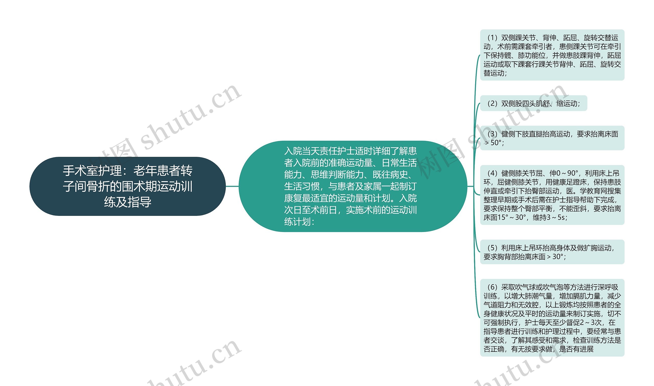 手术室护理：老年患者转子间骨折的围术期运动训练及指导思维导图