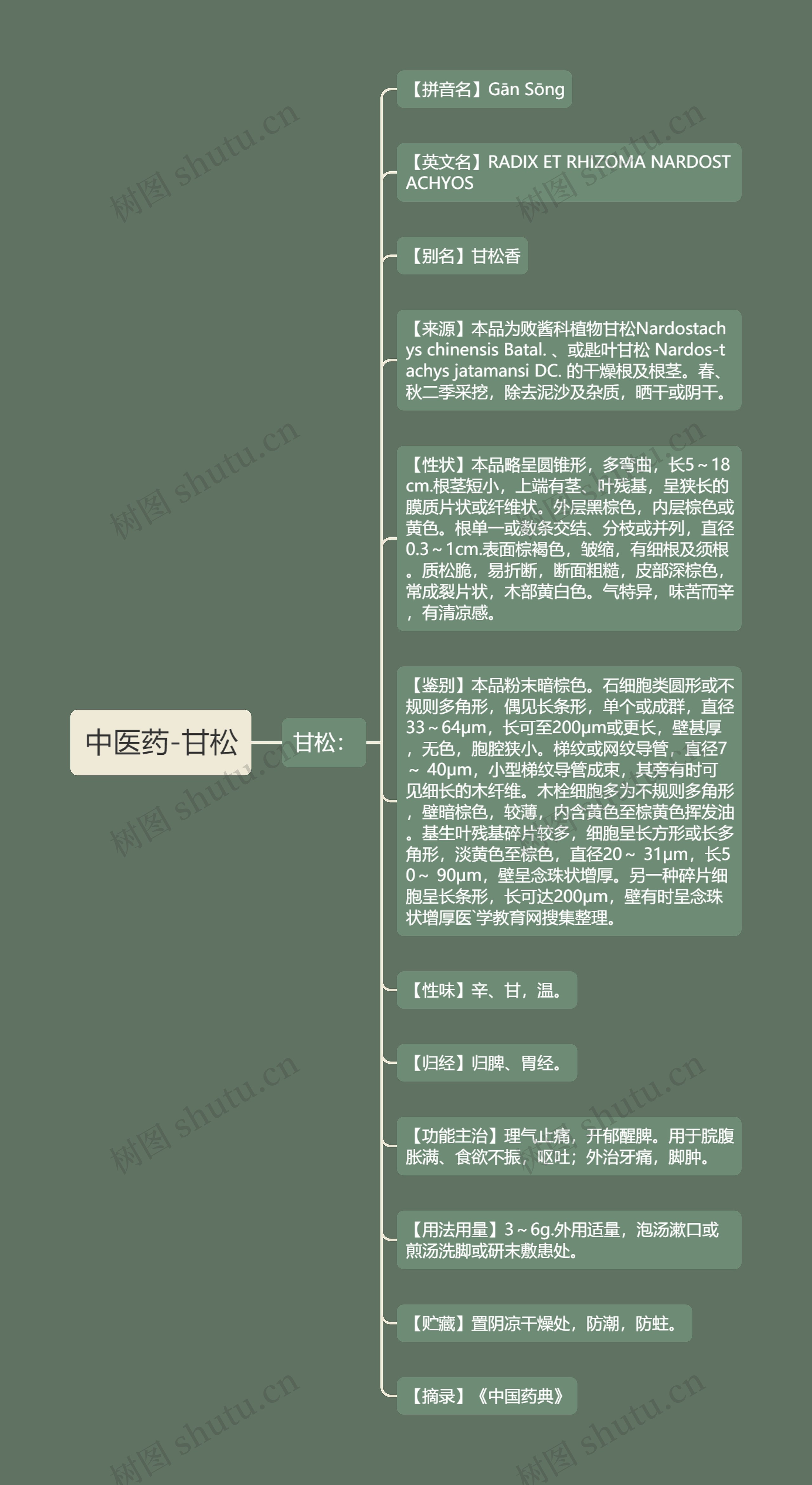 中医药-甘松 中医药-甘松