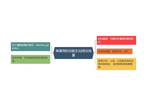 辣薄荷的功能主治|用法用量