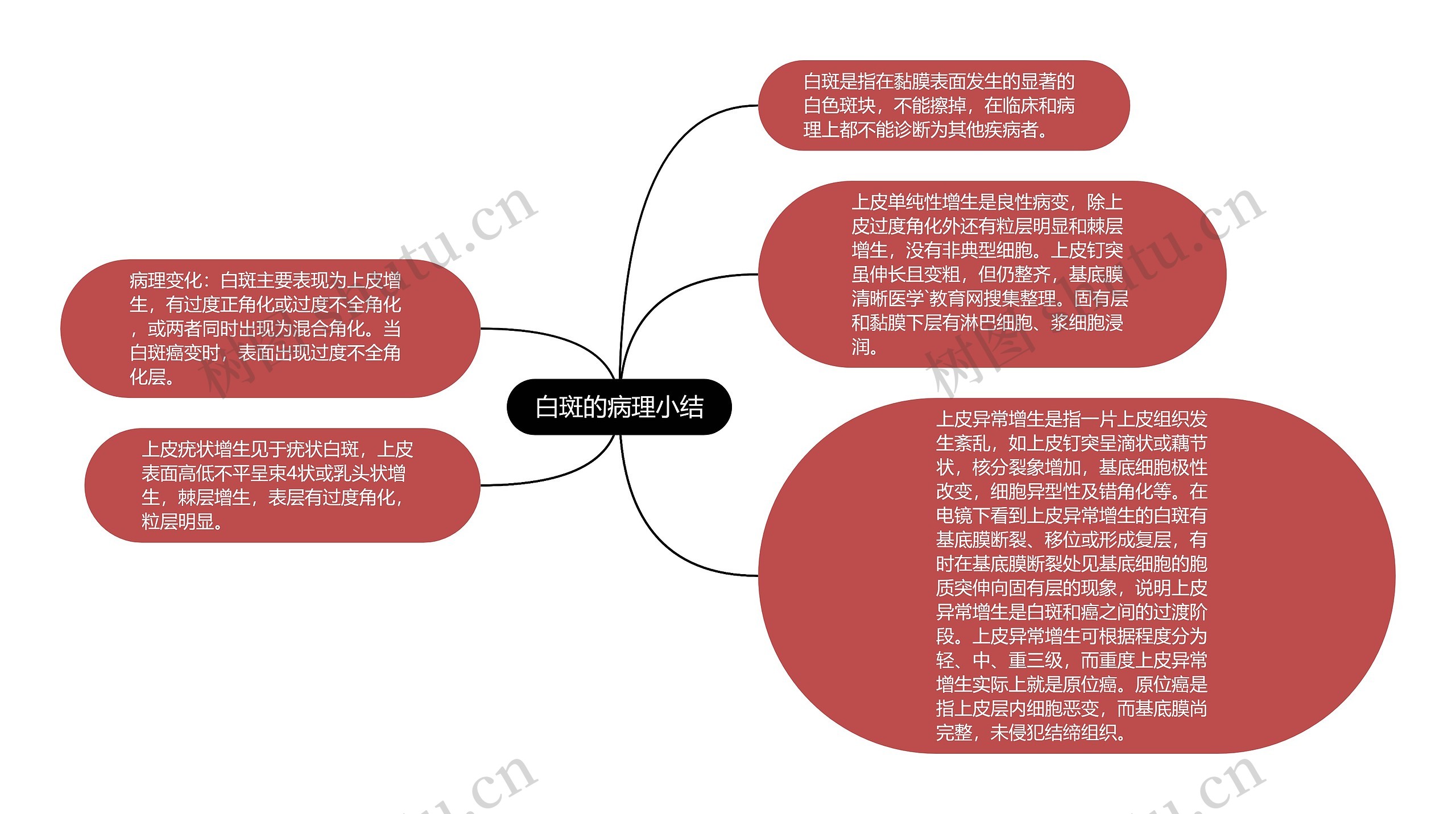 白斑的病理小结思维导图