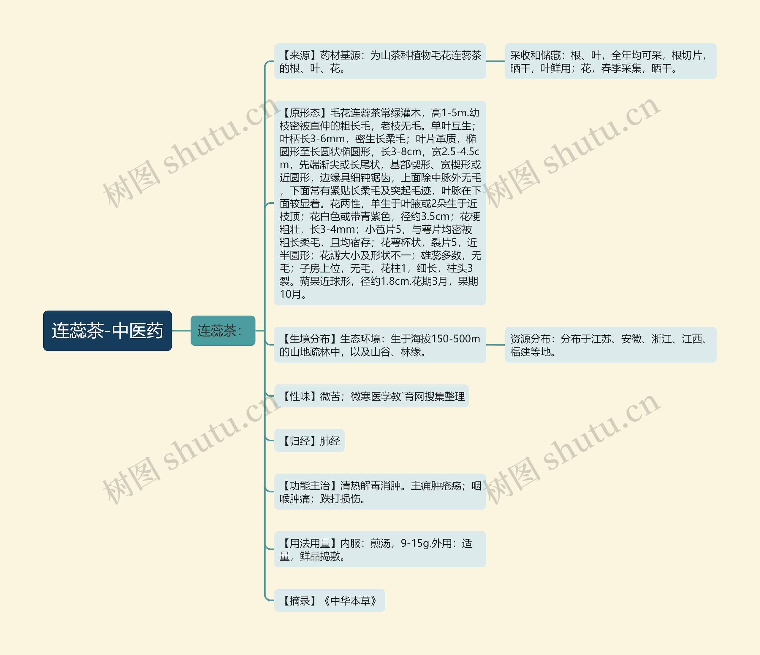 连蕊茶-中医药思维导图