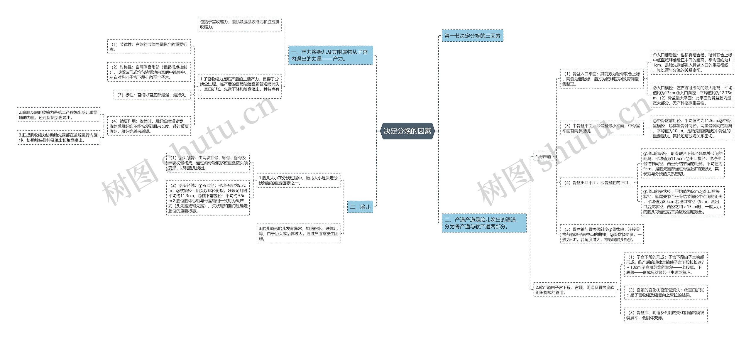 决定分娩的因素思维导图