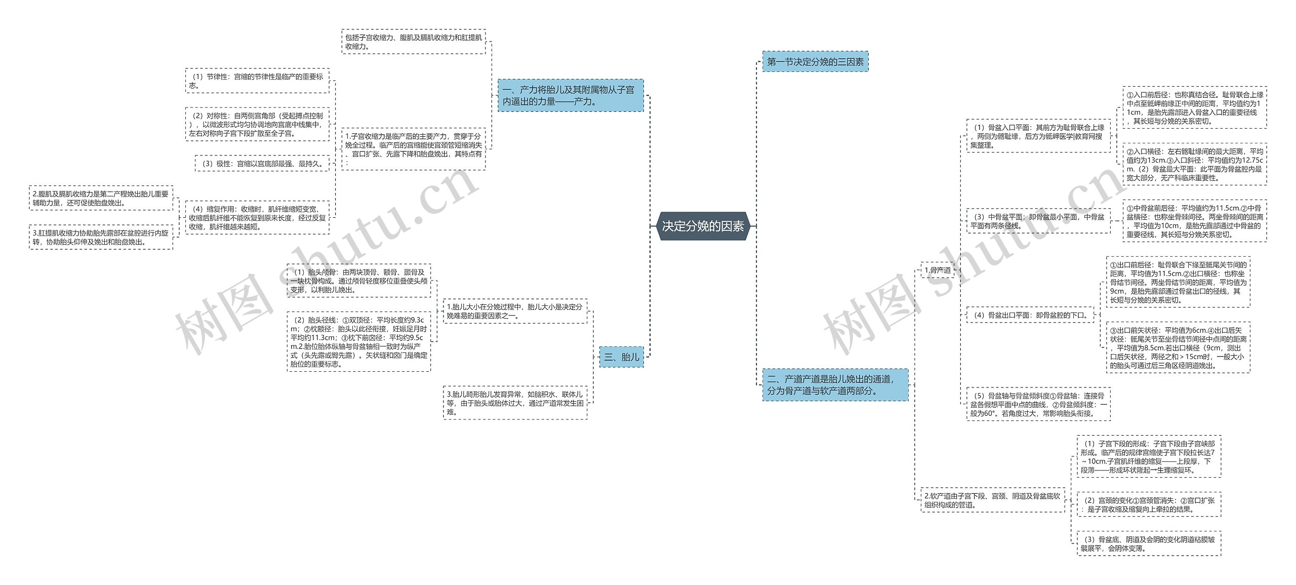 决定分娩的因素 决定分娩的因素
