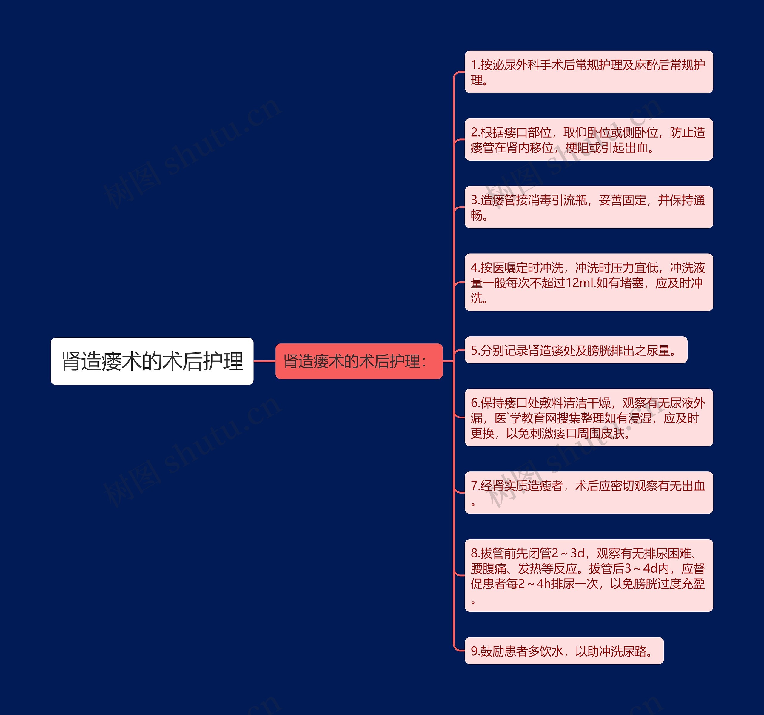 肾造瘘术的术后护理思维导图