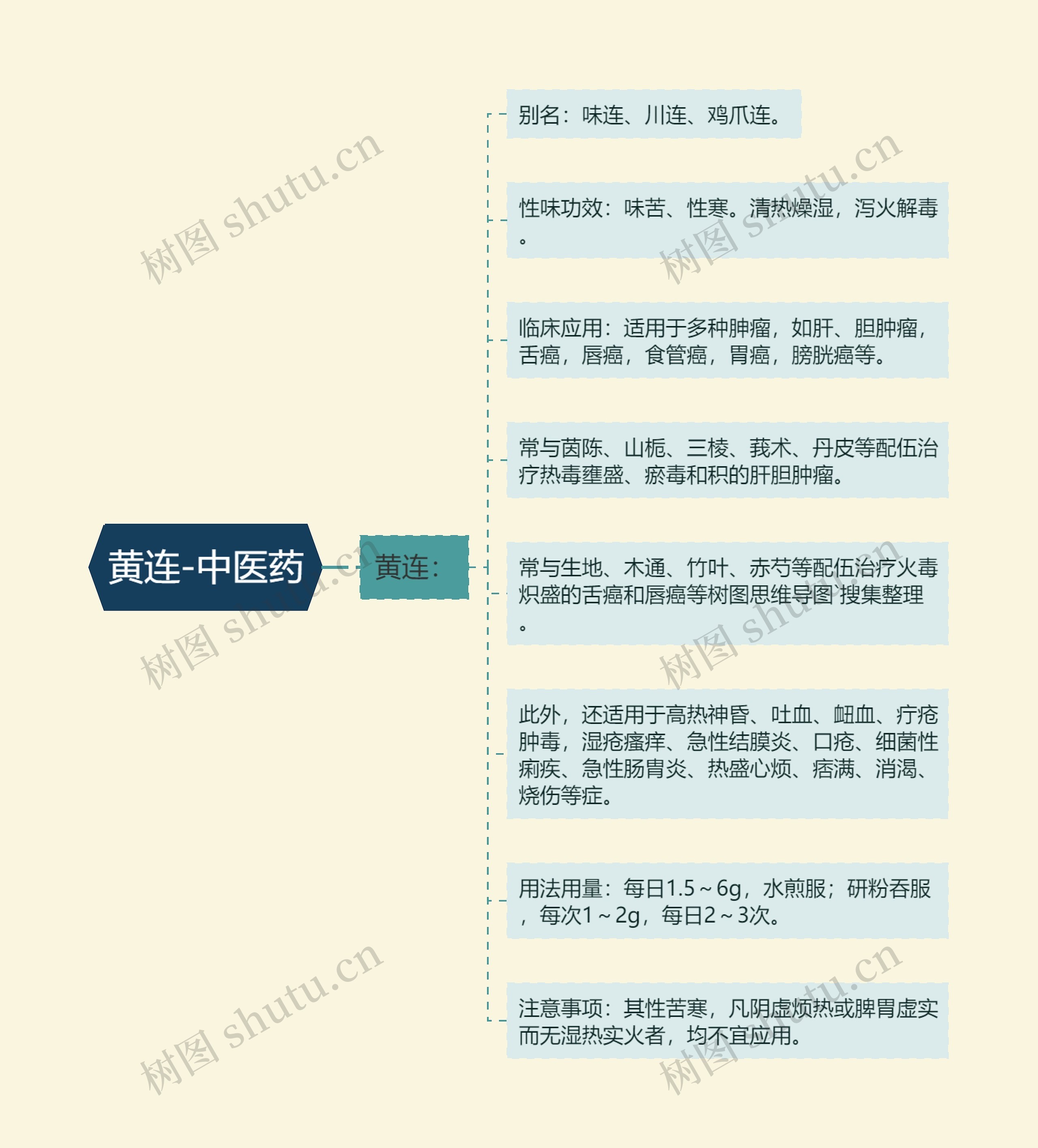 黄连-中医药思维导图