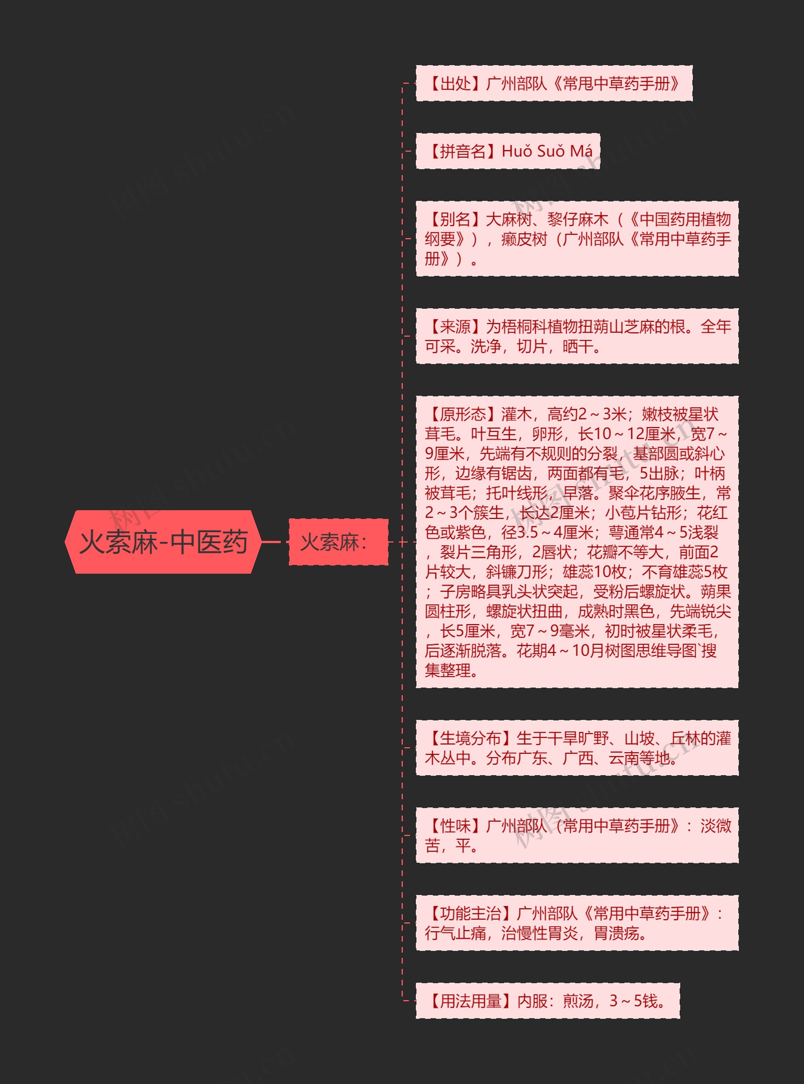 火索麻-中医药 火索麻-中医药