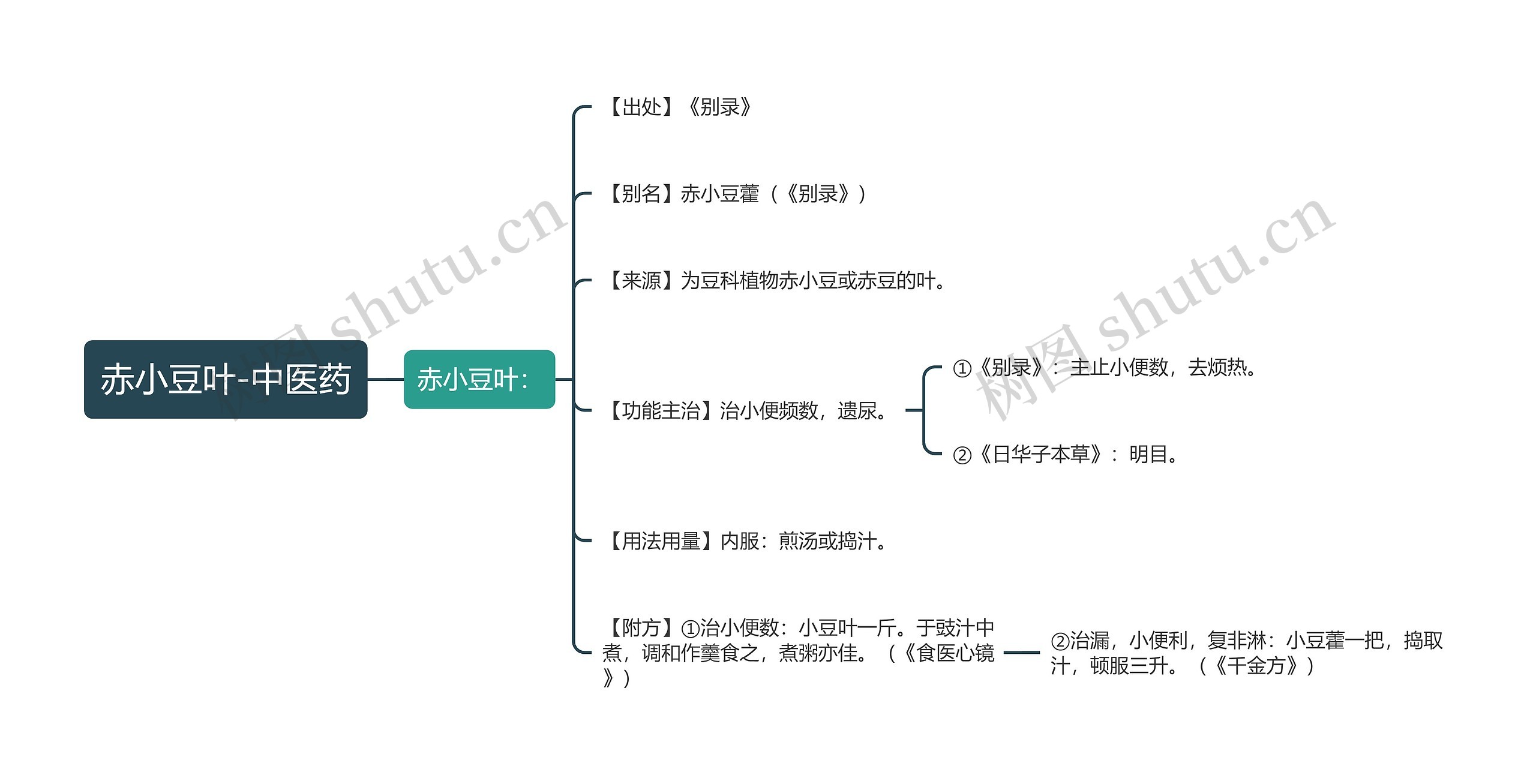 赤小豆叶-中医药思维导图