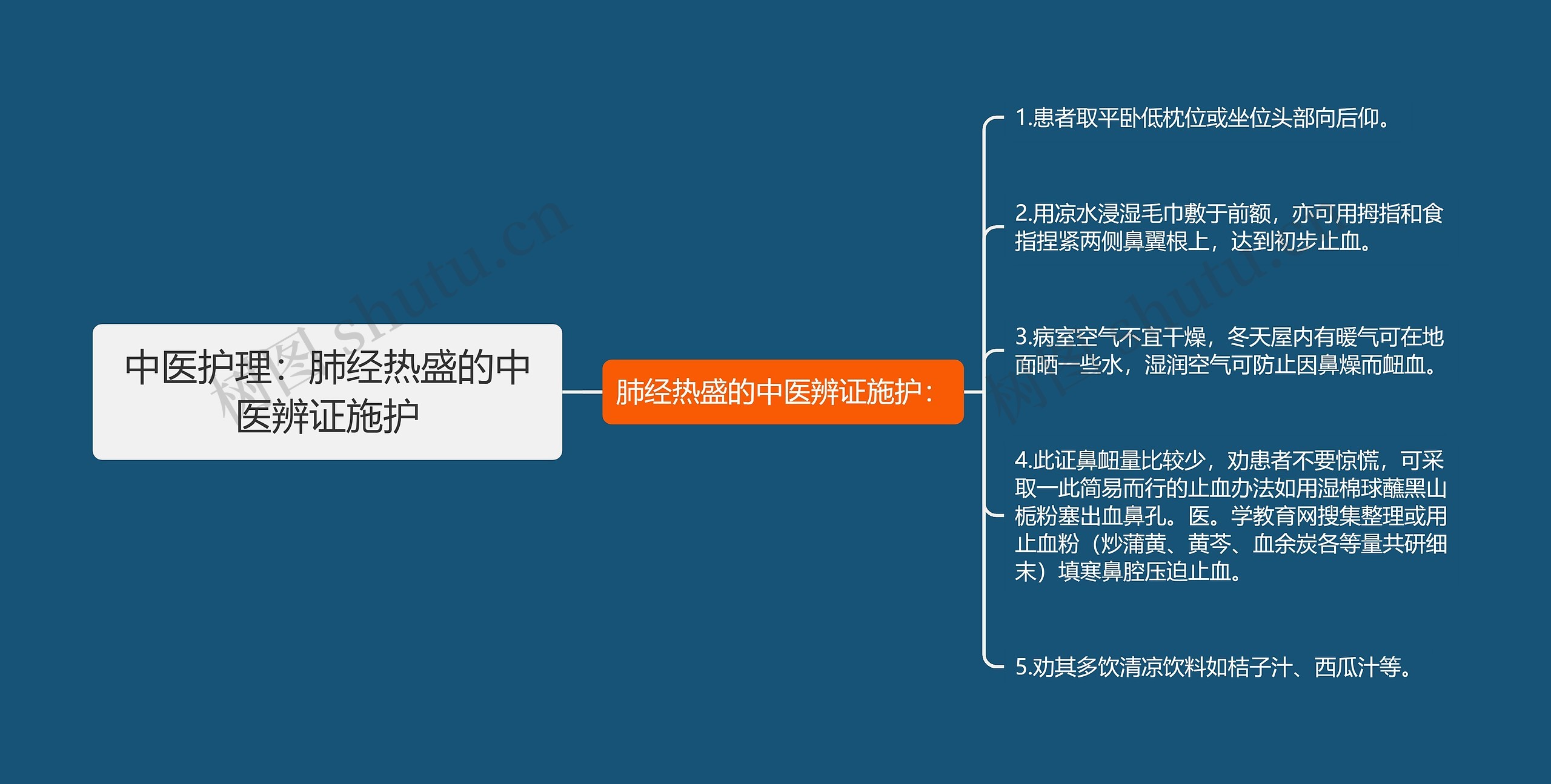 中医护理：肺经热盛的中医辨证施护思维导图