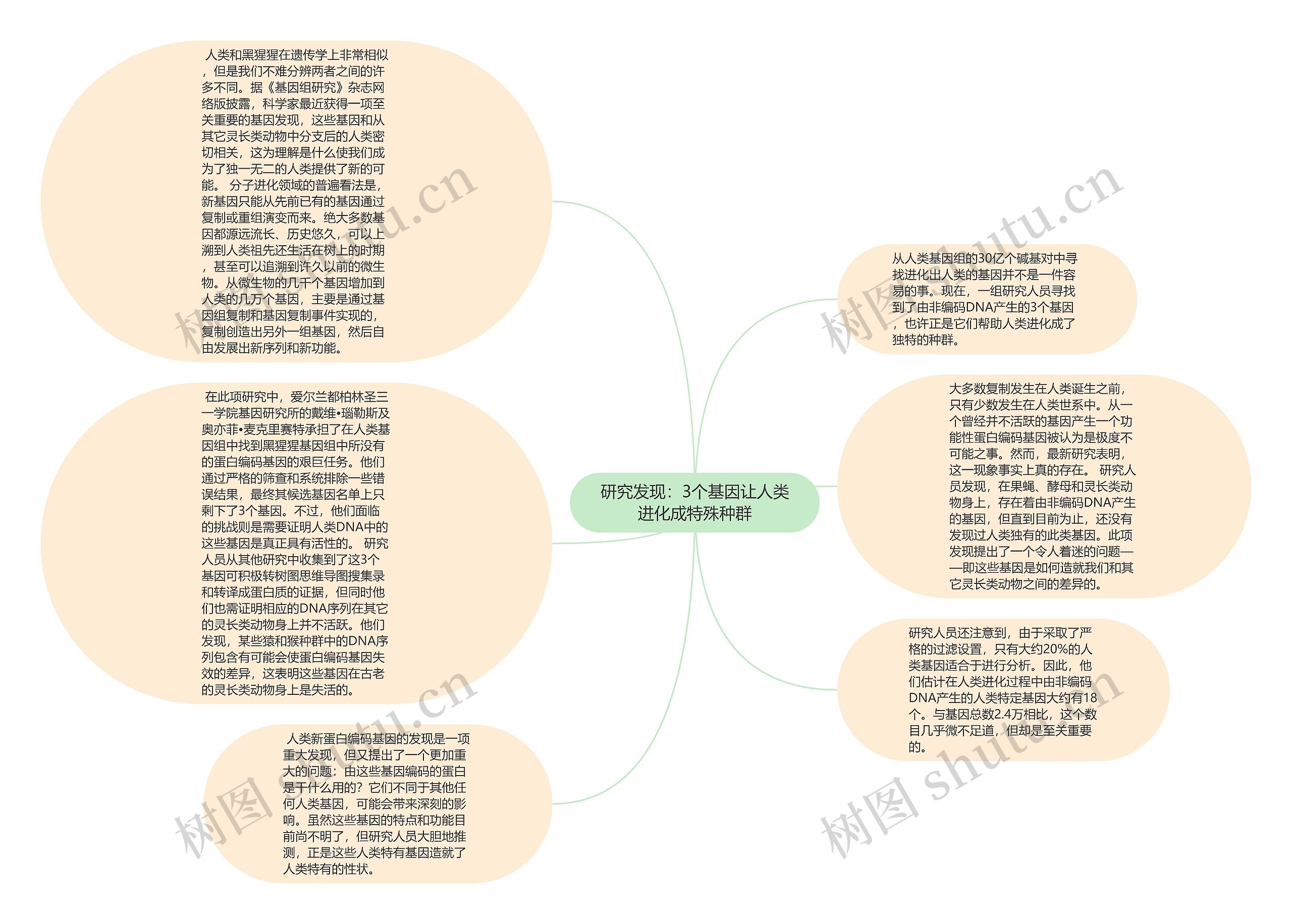 研究发现：3个基因让人类进化成特殊种群思维导图