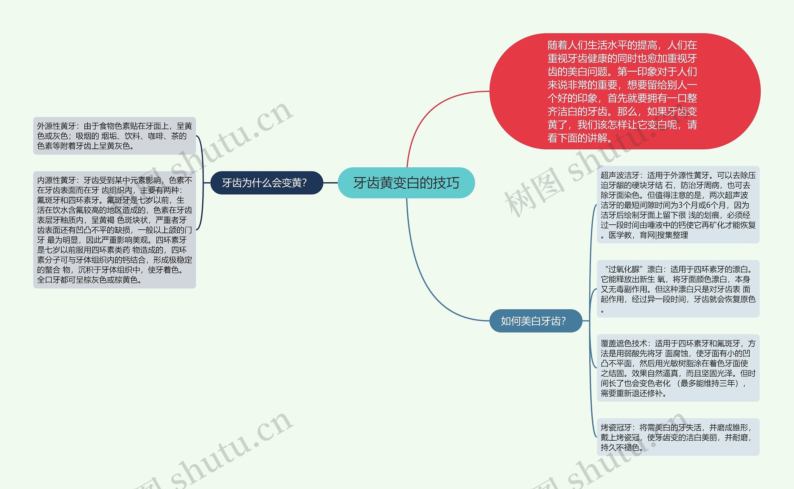 牙齿黄变白的技巧思维导图