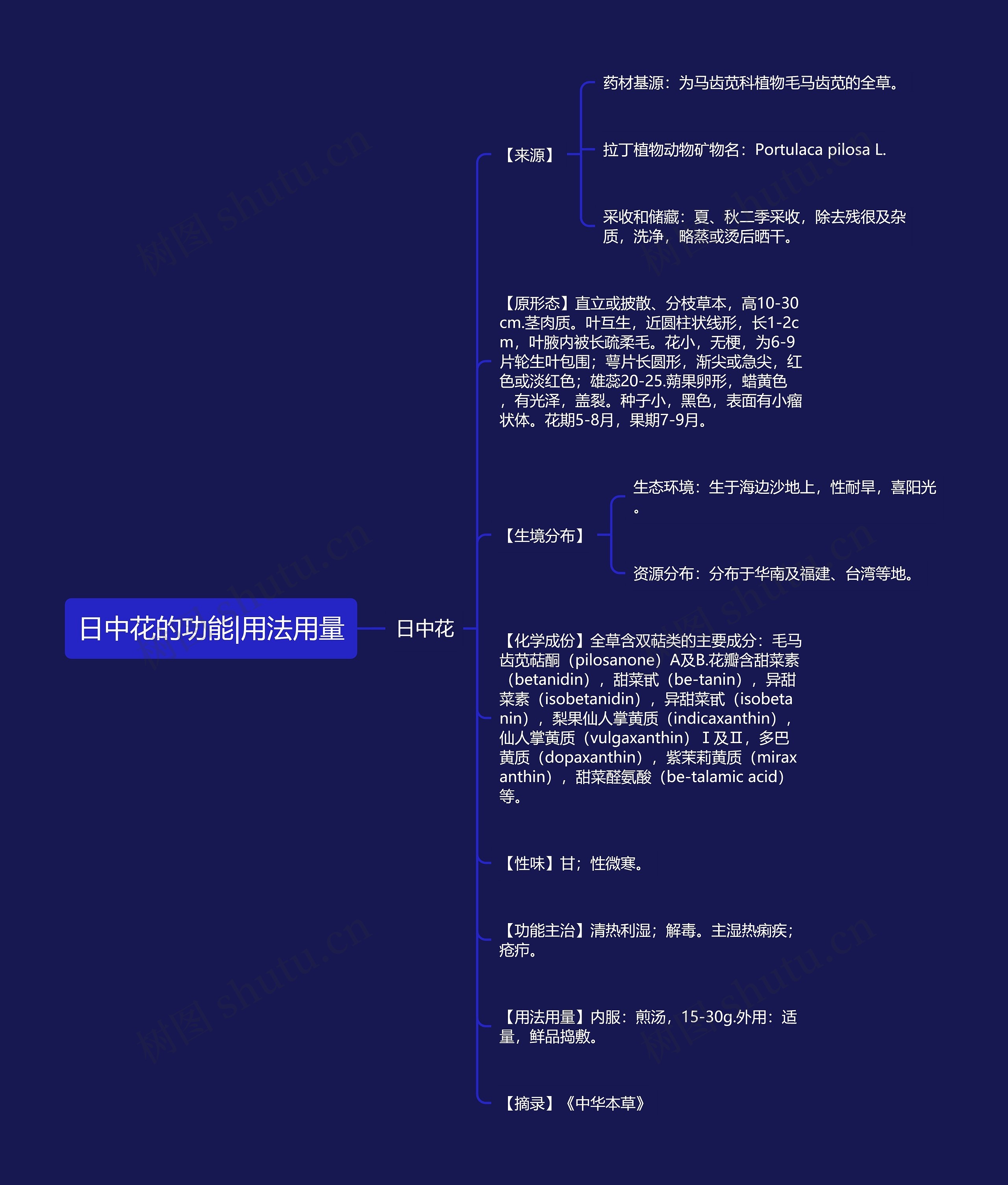 日中花的功能|用法用量 日中花的功能|用法用量
