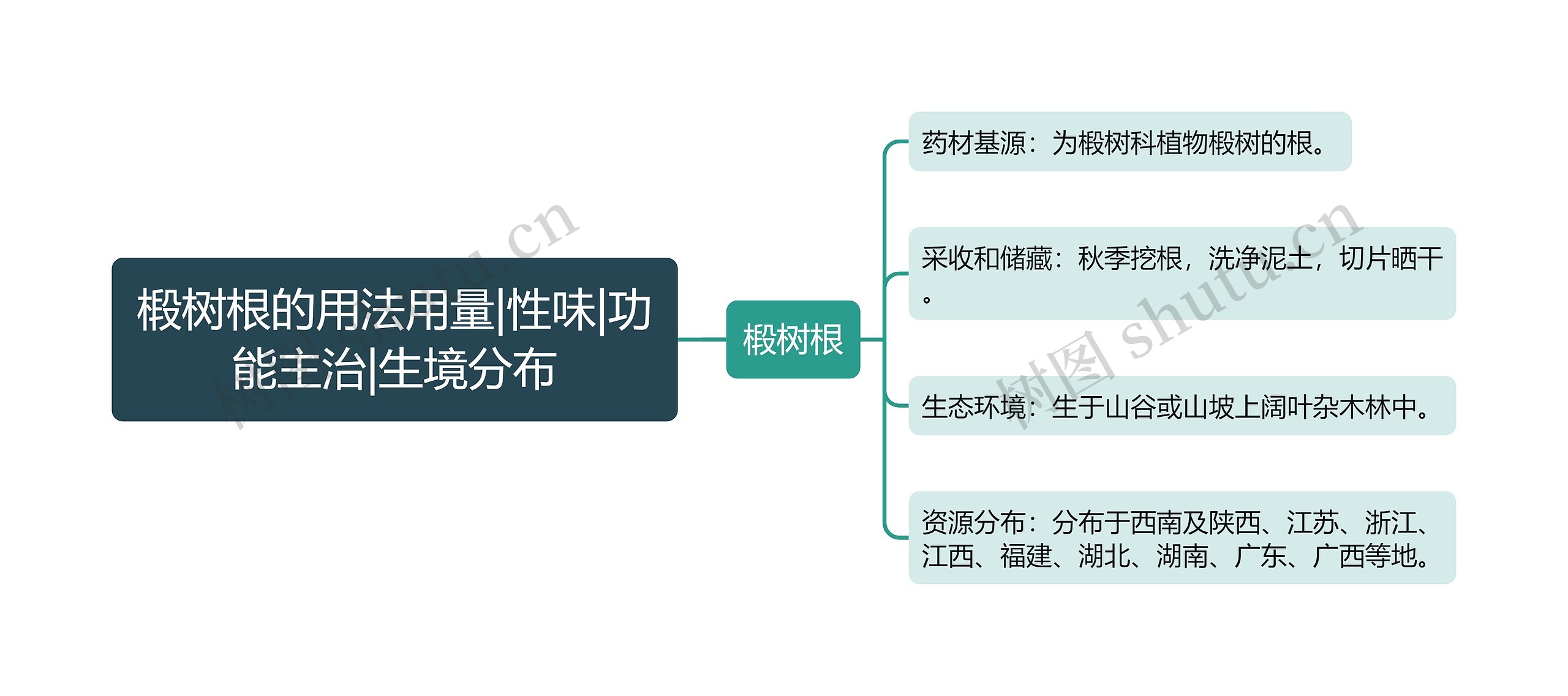 椴树根的用法用量|性味|功能主治|生境分布