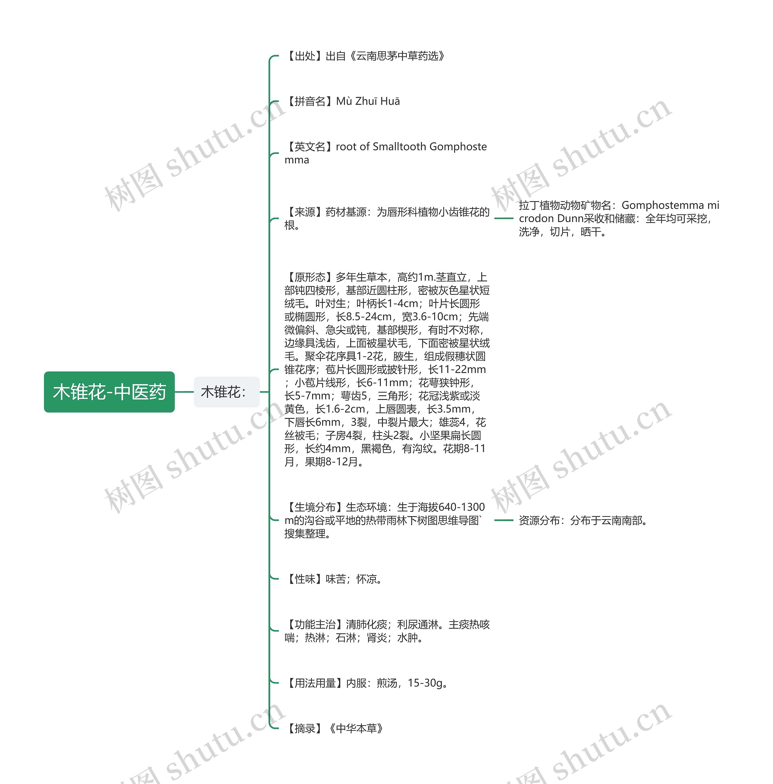 木锥花-中医药思维导图