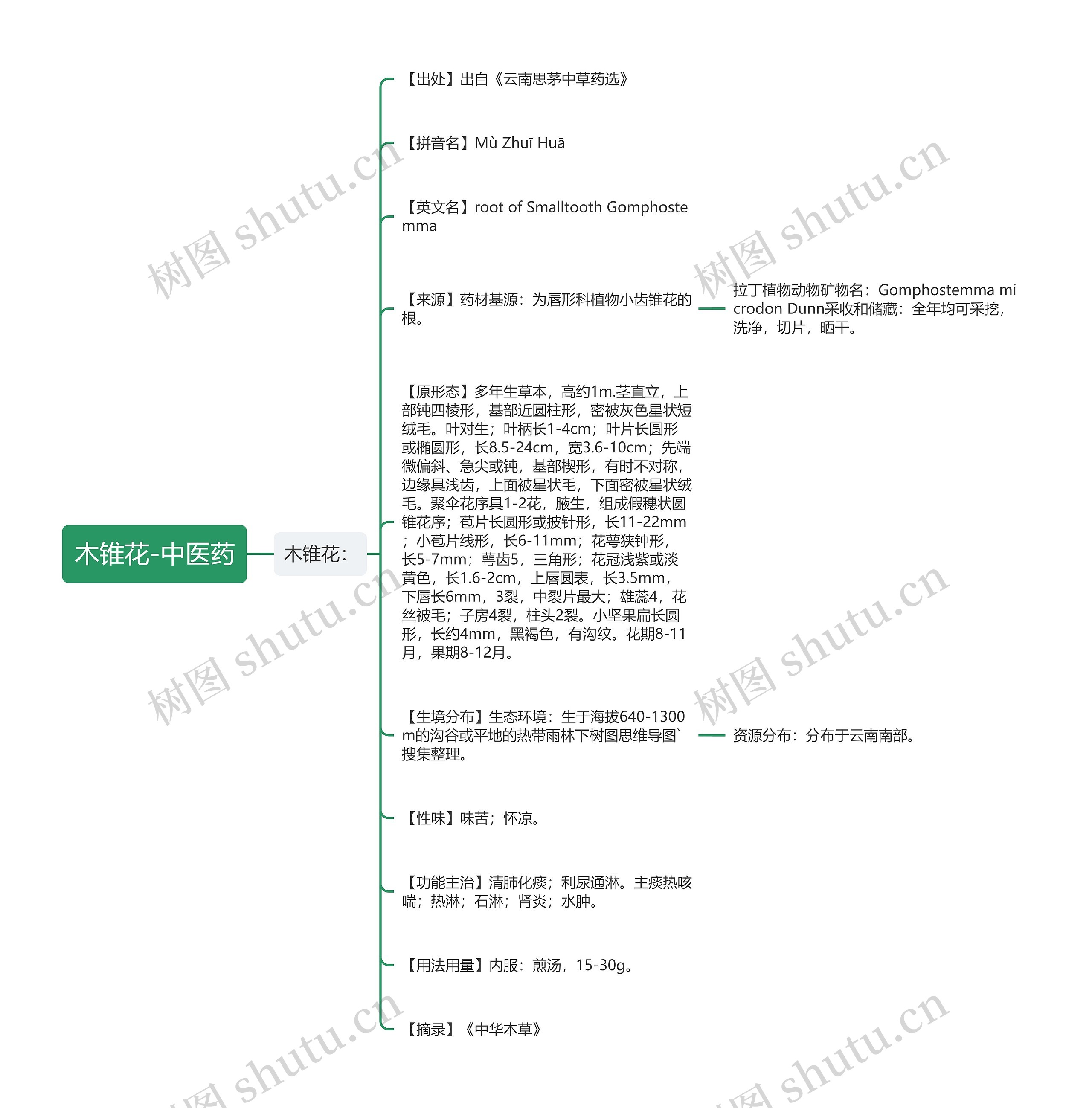 木锥花-中医药 木锥花-中医药