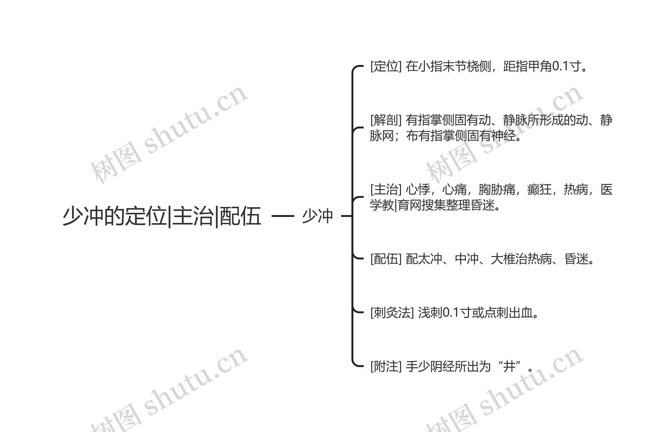 少冲的定位|主治|配伍思维导图