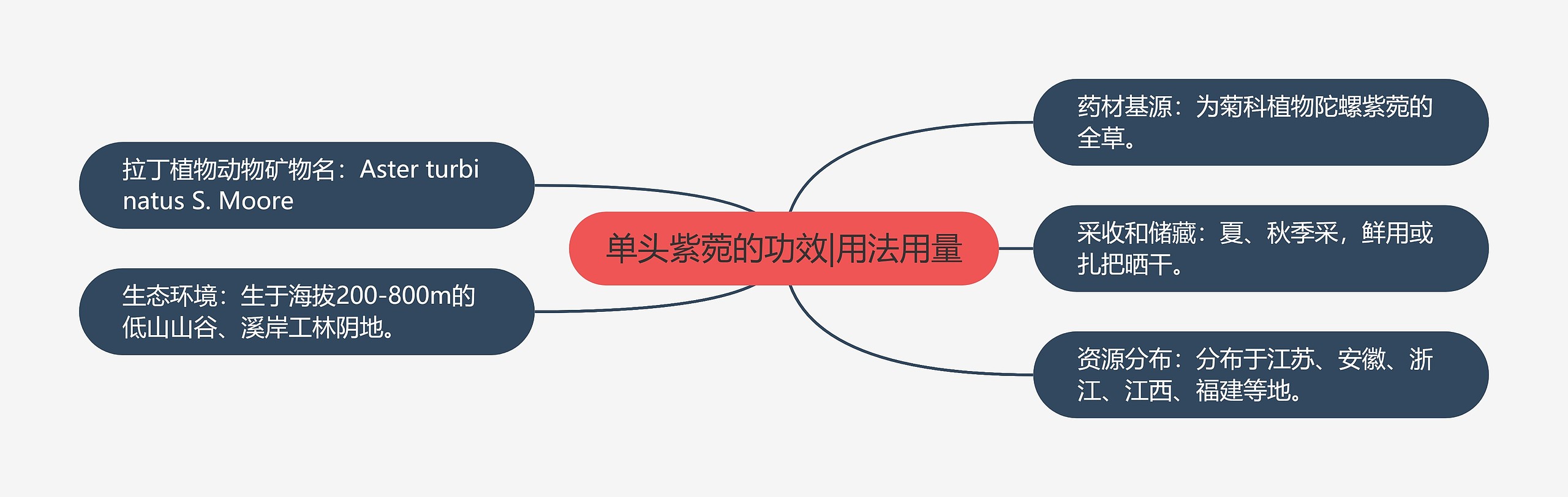 单头紫菀的功效|用法用量思维导图