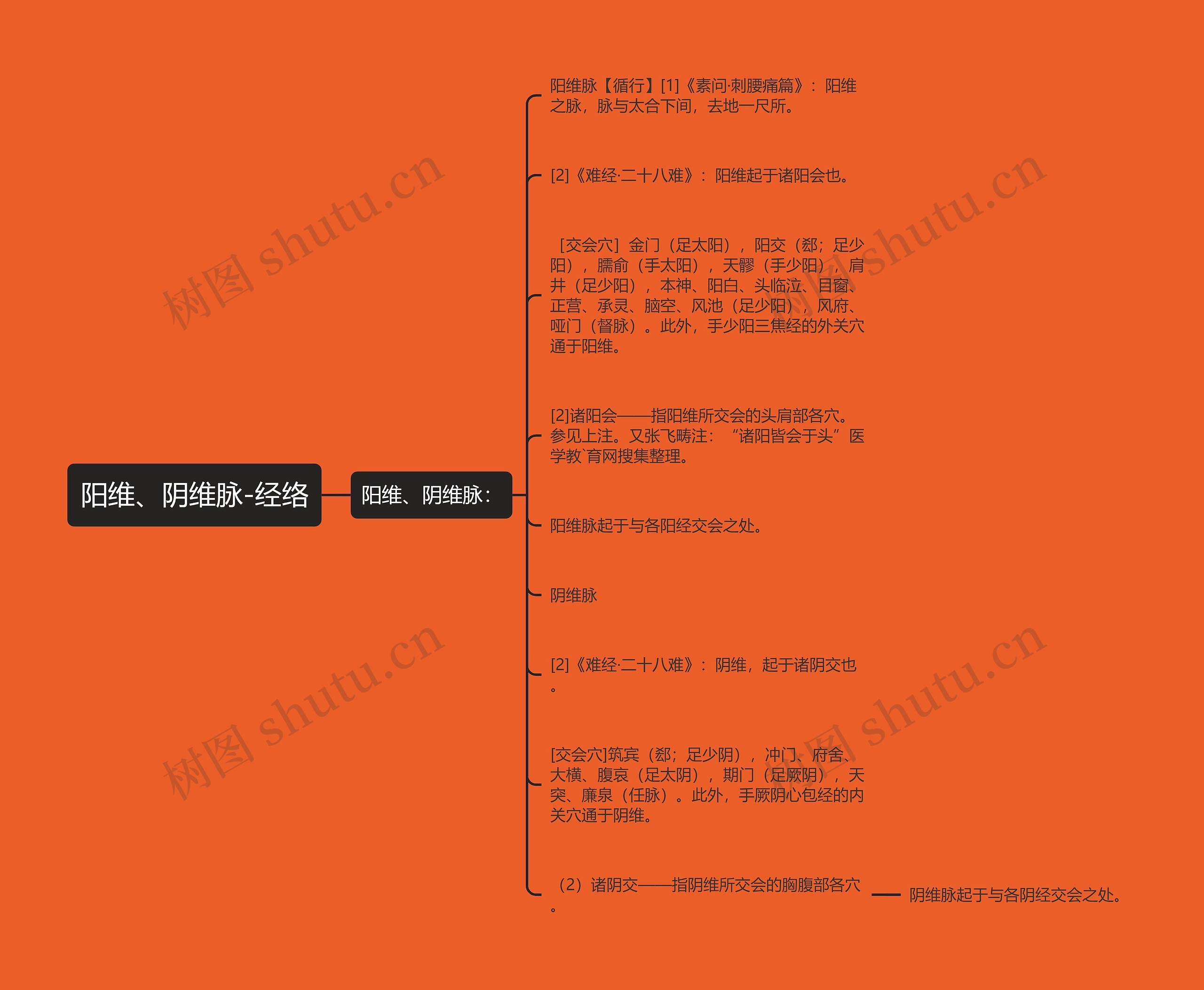 阳维、阴维脉-经络思维导图
