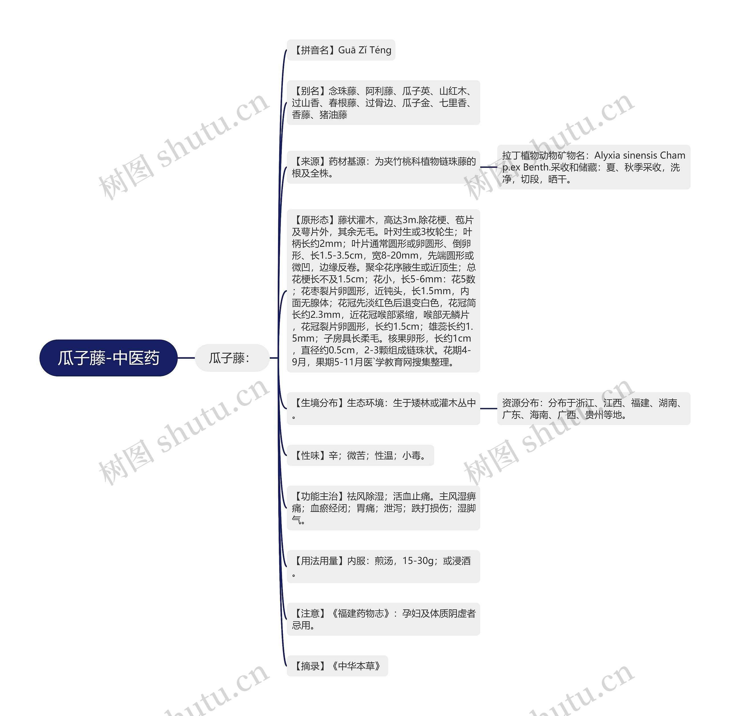 瓜子藤-中医药 瓜子藤-中医药