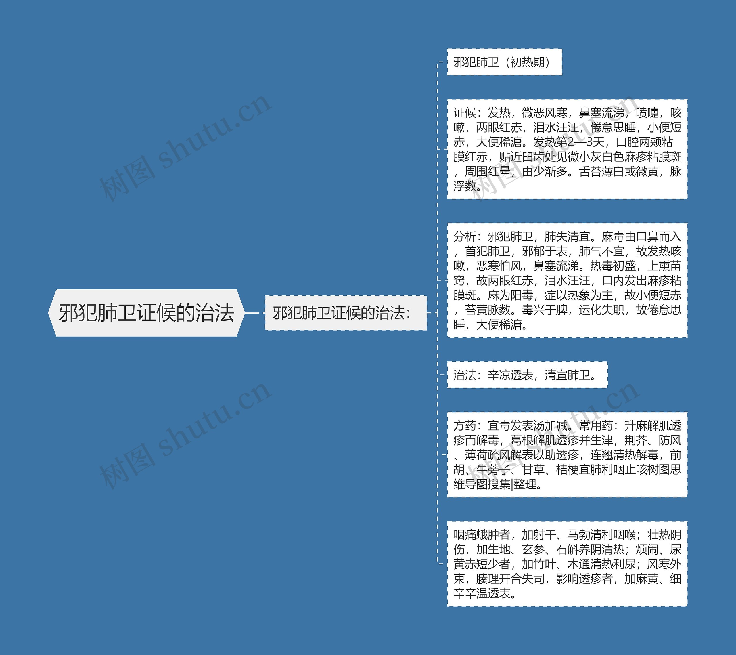 邪犯肺卫证候的治法思维导图