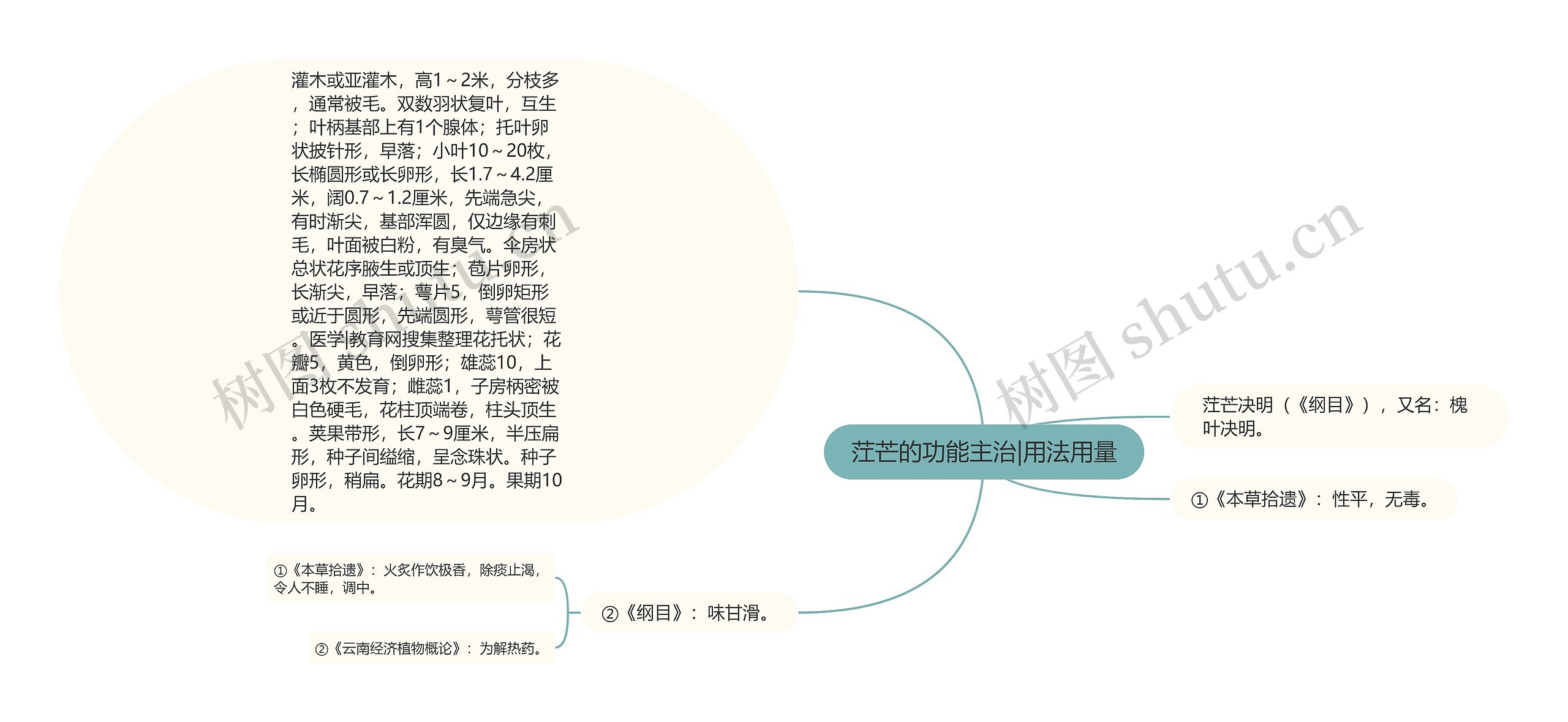 茳芒的功能主治|用法用量思维导图