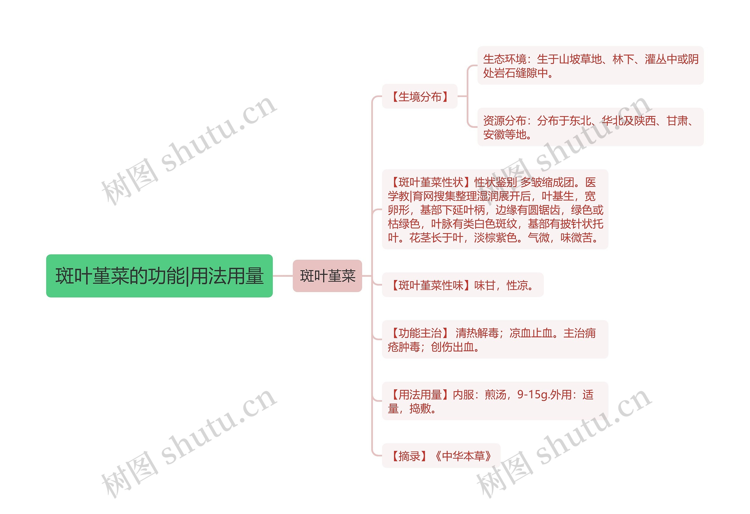 斑叶堇菜的功能|用法用量 斑叶堇菜的功能|用法用量