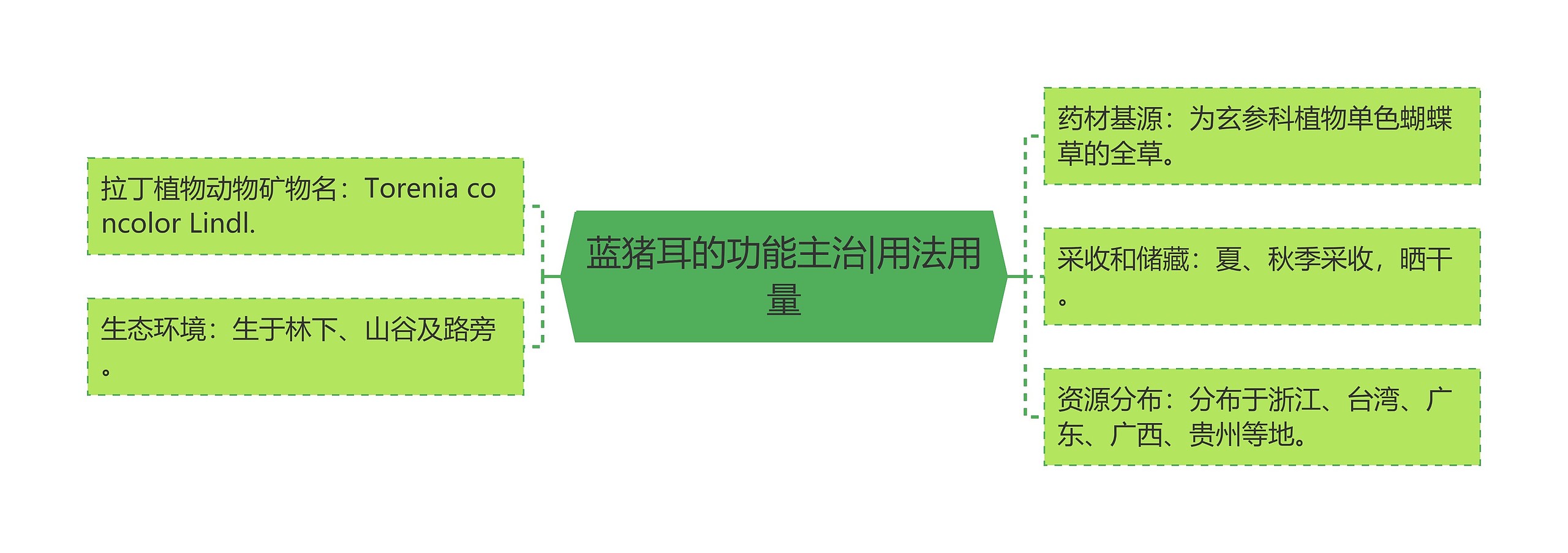 蓝猪耳的功能主治|用法用量 蓝猪耳的功能主治|用法用量