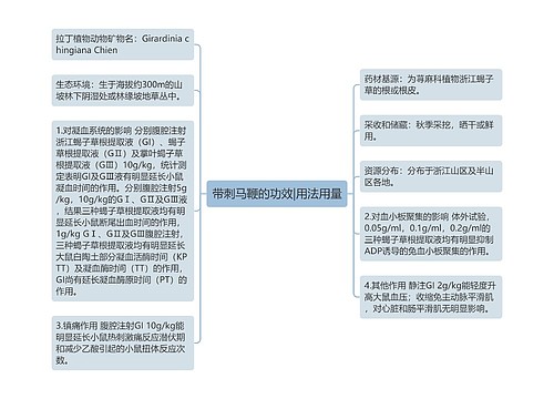 带刺马鞭的功效|用法用量